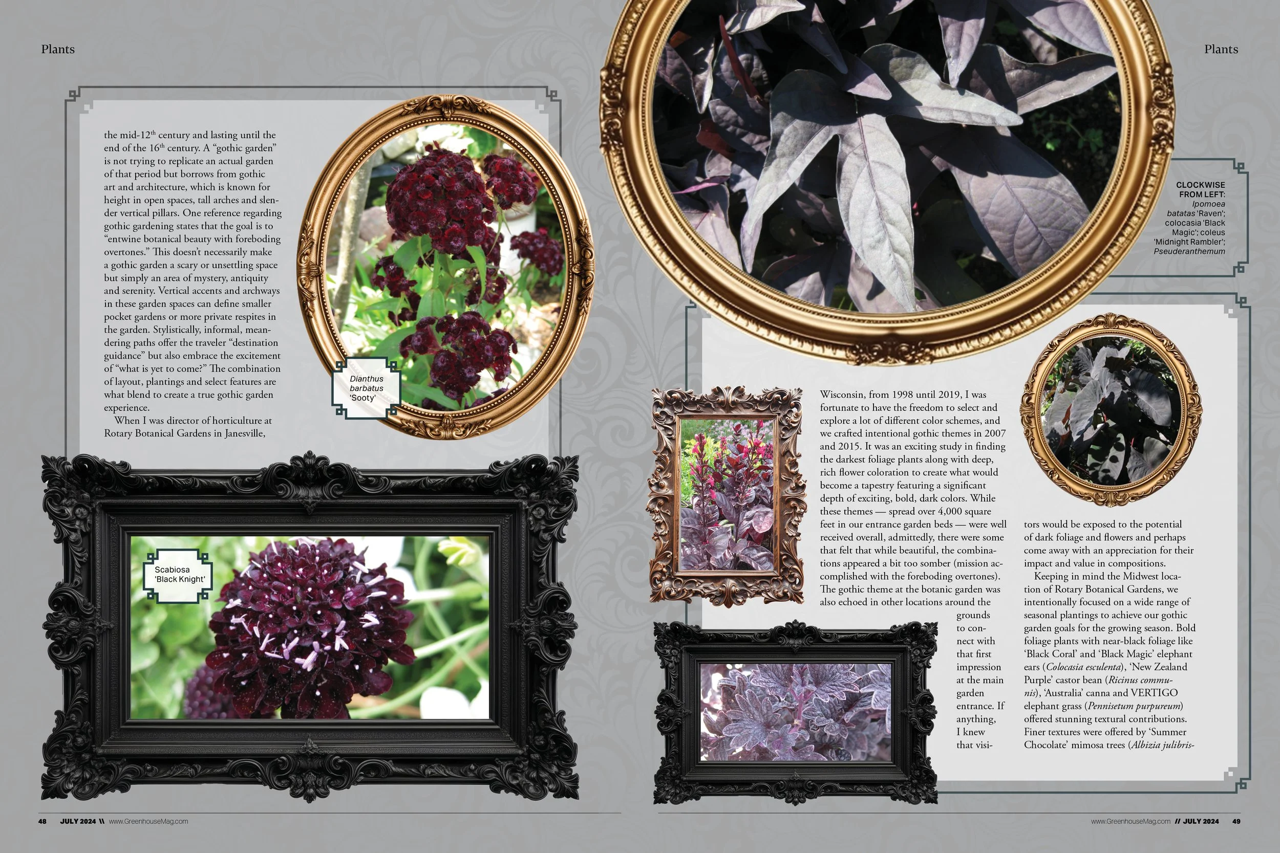 Gothic plants2.jpg