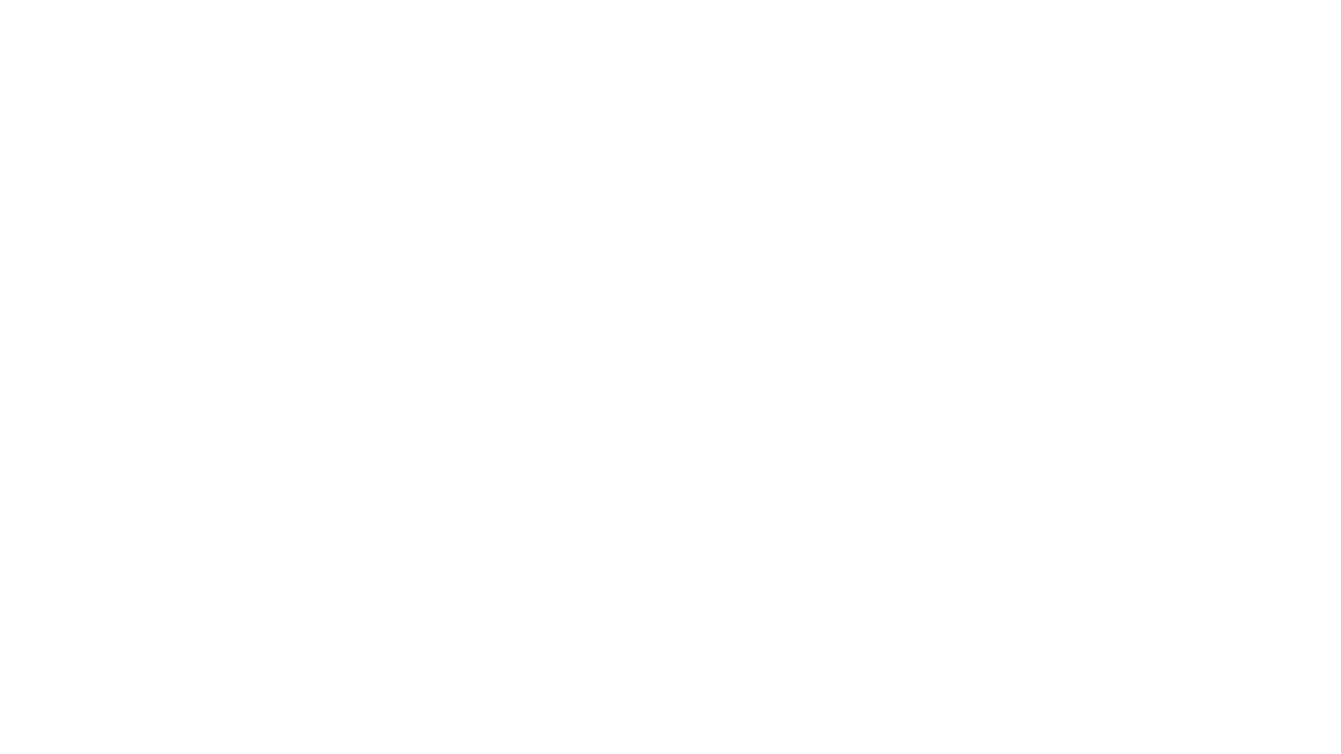 Black and white logo with a profile silhouette of a woman's face, flowing hair, and the word 'PRINCESS' underneath.