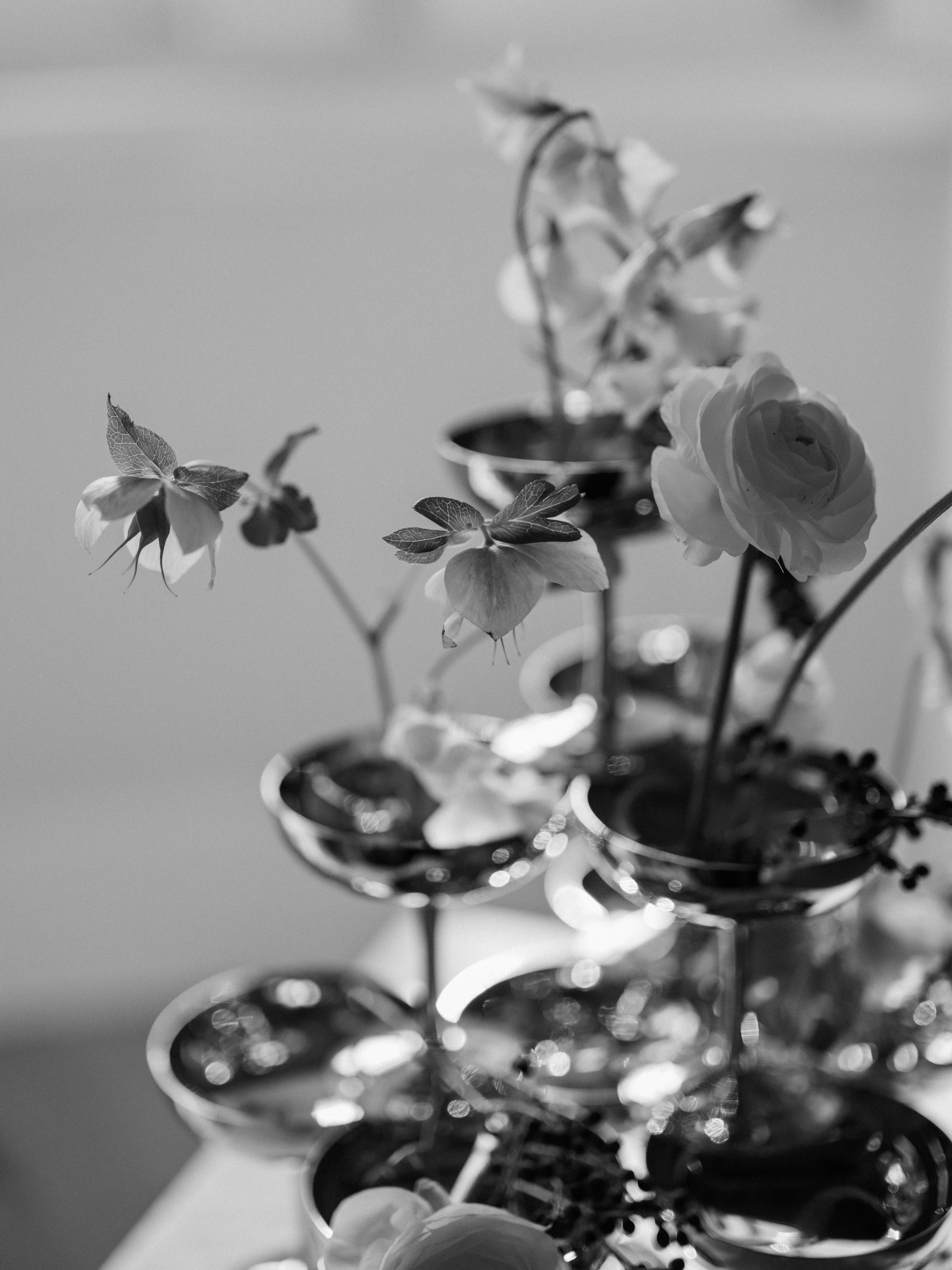 DSCF5990.jpg