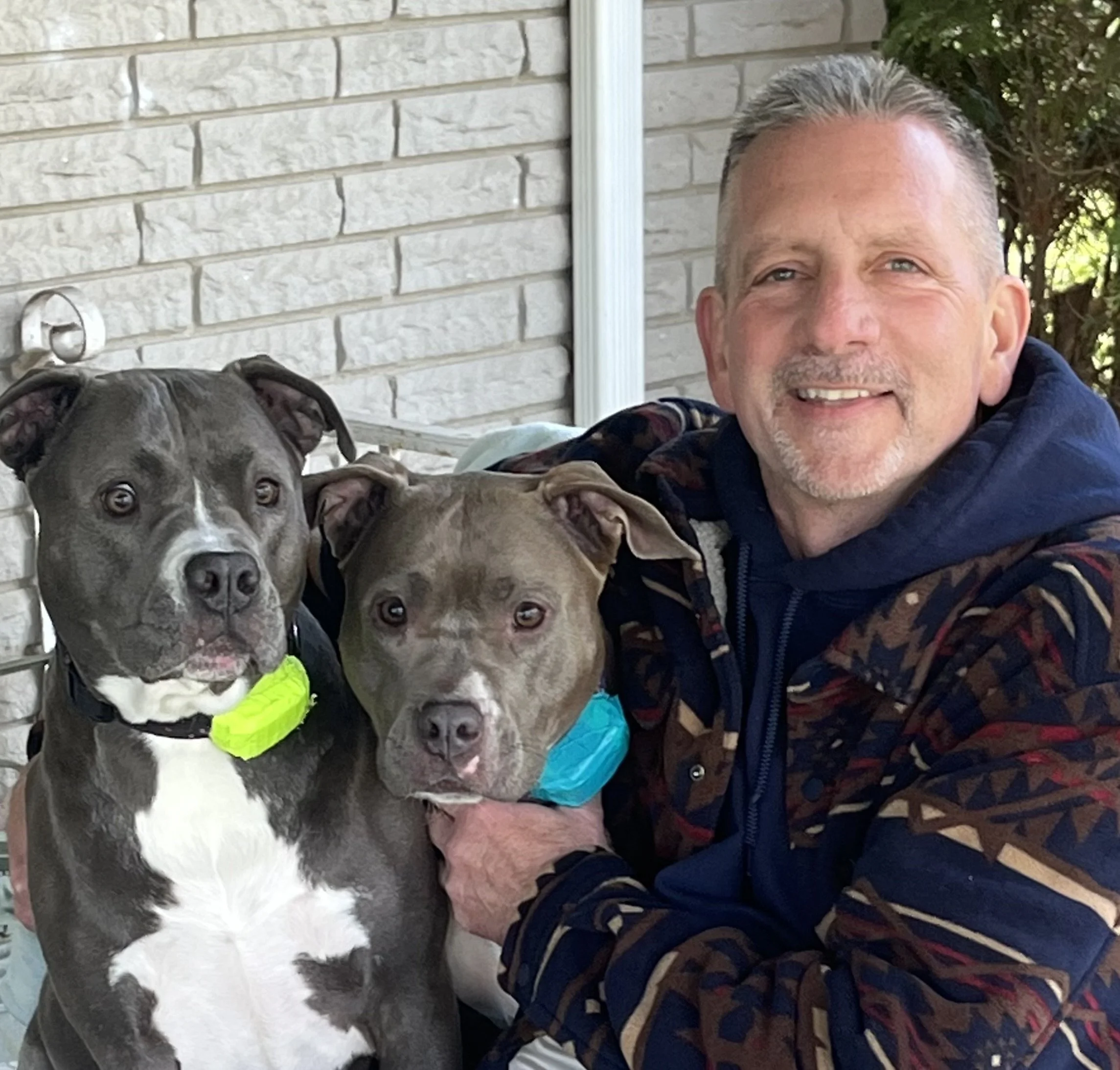 A man smiling next to three gray and white dogs, some wearing bright-colored collars or bandanas, sitting outdoors against a brick wall and some greenery.
