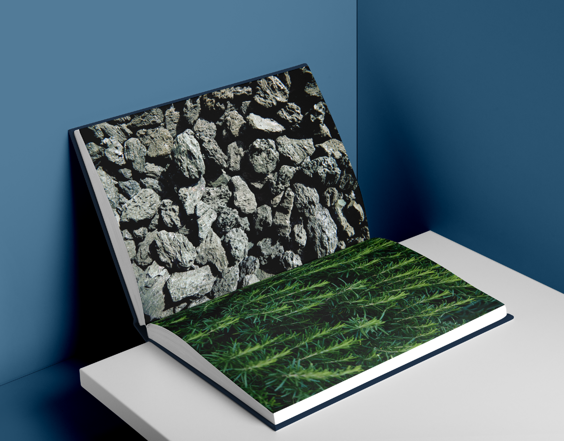 tablecorse-img-03.png