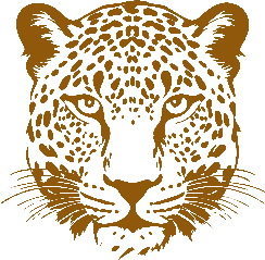 Leopard Spots Pet Care