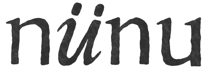 Close-up of the word 'nünu' written in black, lowercase, stylized font.