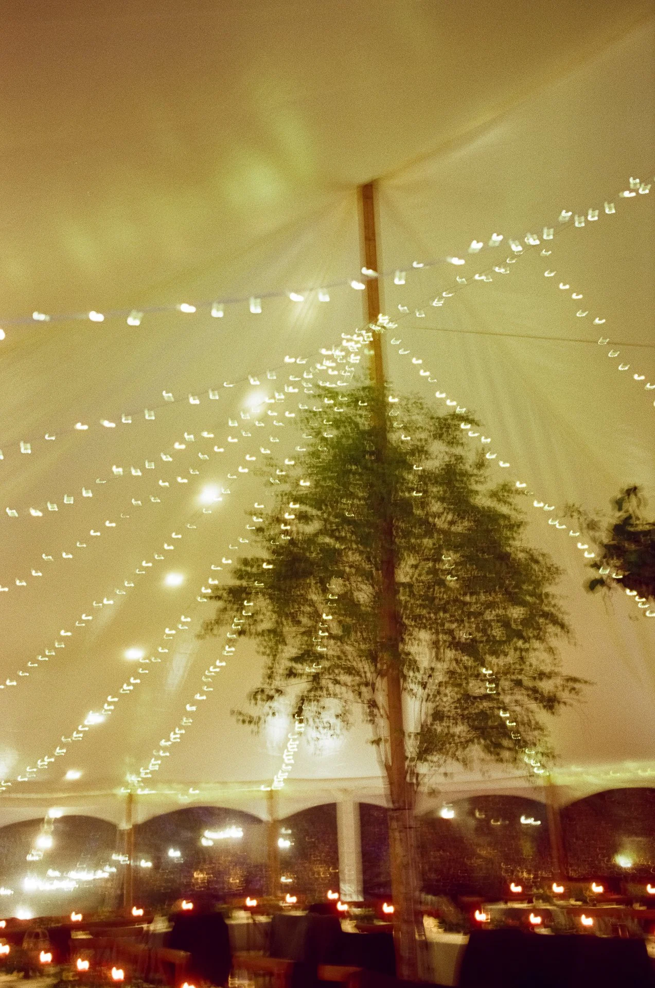 Izzy + Rory | Marquee after dark / Surrey&nbsp;| 2025