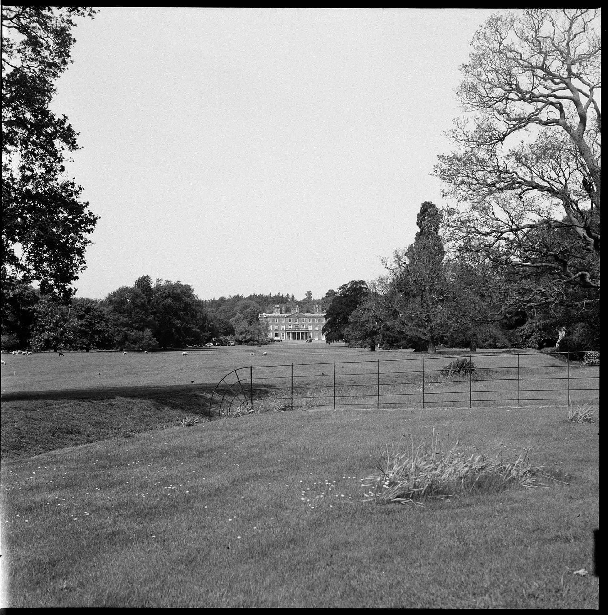 Charlotte_Dormoy_Film_Wedding_Photographer_Weston_Park_Wedding_01.jpg