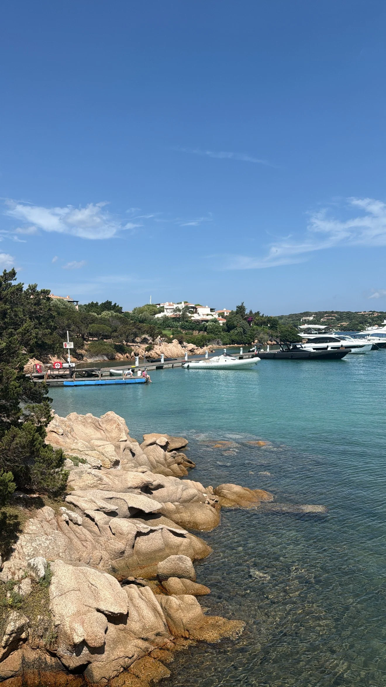 Calm harbor with rocks along the shore, several boats, lush greenery, and white buildings in the background under a blue sky.