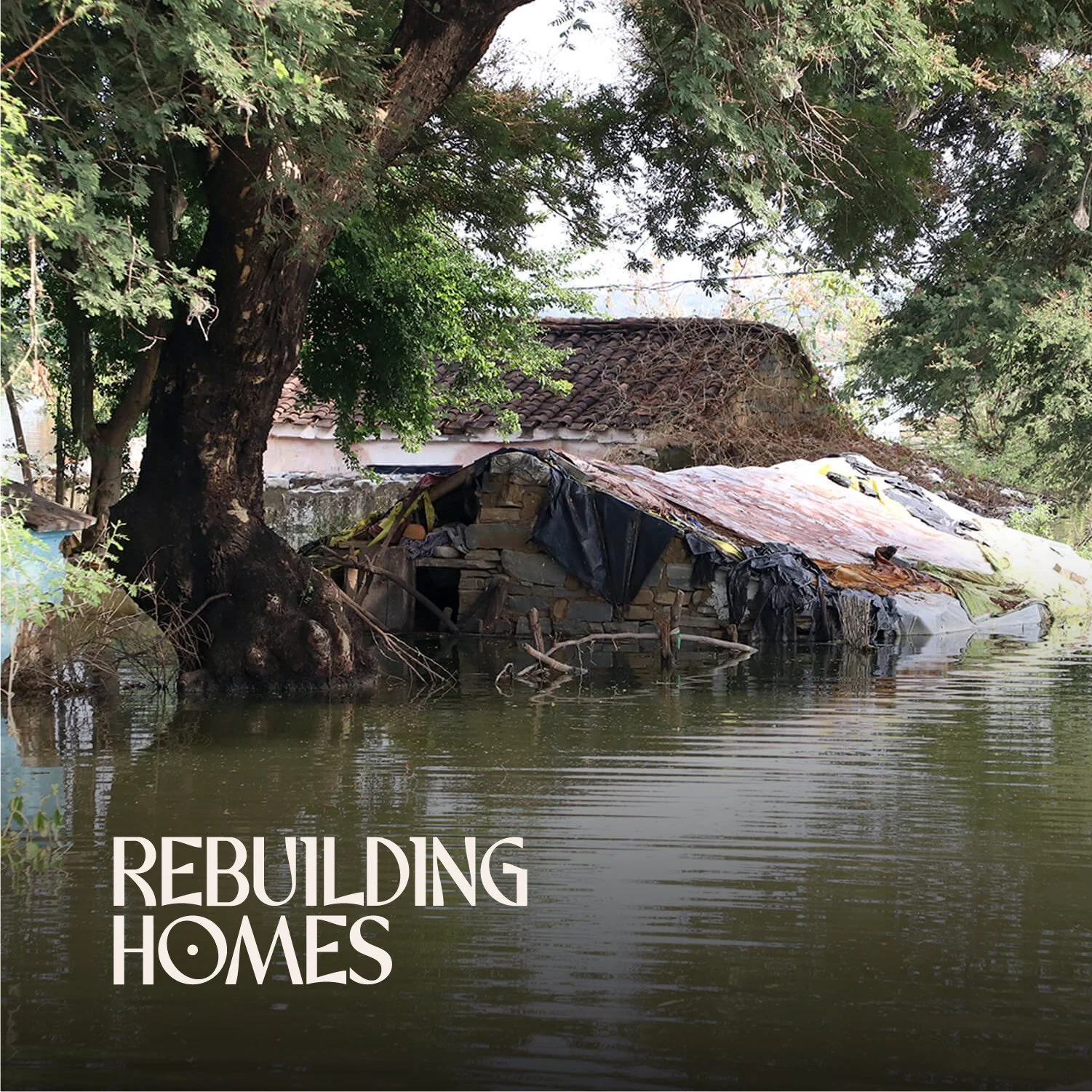 Rebuilding Homes