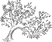 A simple black and white line drawing of an olive tree with twisting branches and foliage.