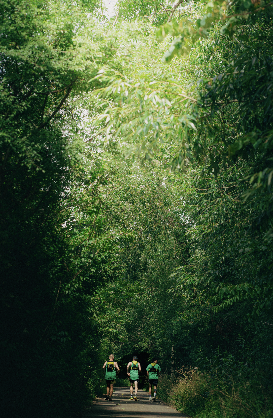 Three runners jogging on a shaded trail surrounded by lush green trees.