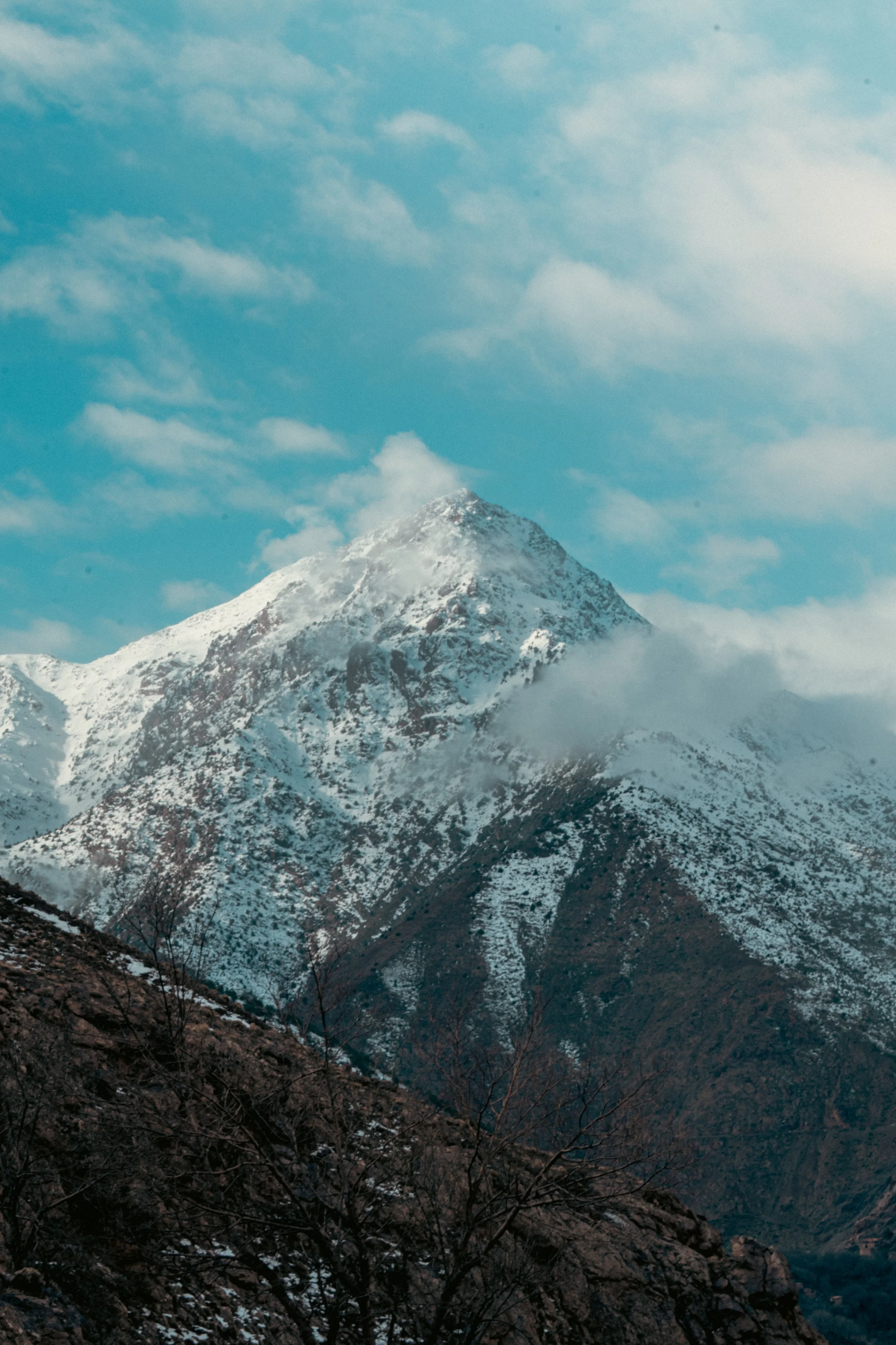 Snow-capped mountain peak with a partly cloudy blue sky and some barren trees in the foreground.