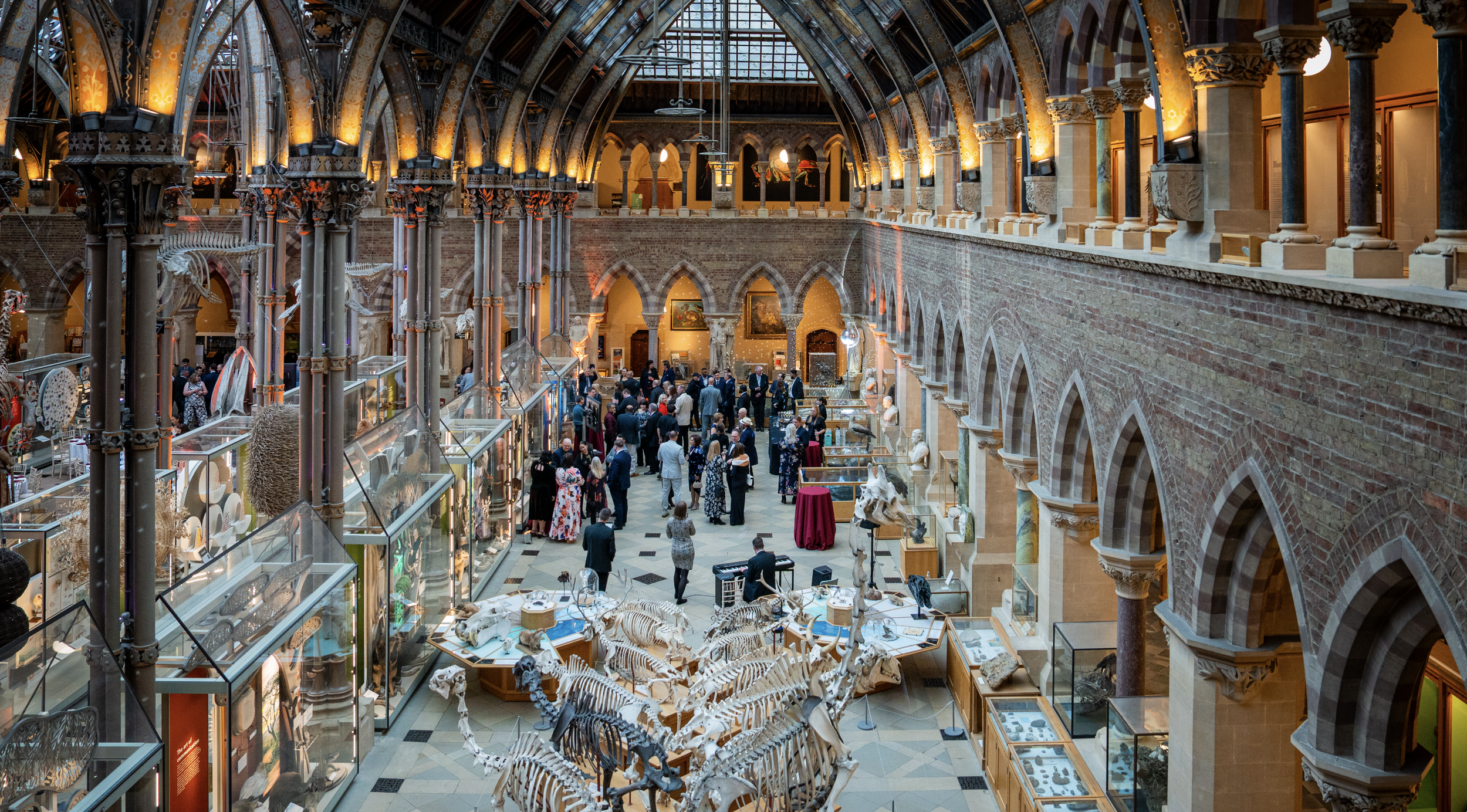 Interior view of a museum with high vaulted ceilings, displaying taxidermy animals and glass display cases, with visitors walking and observing exhibits.