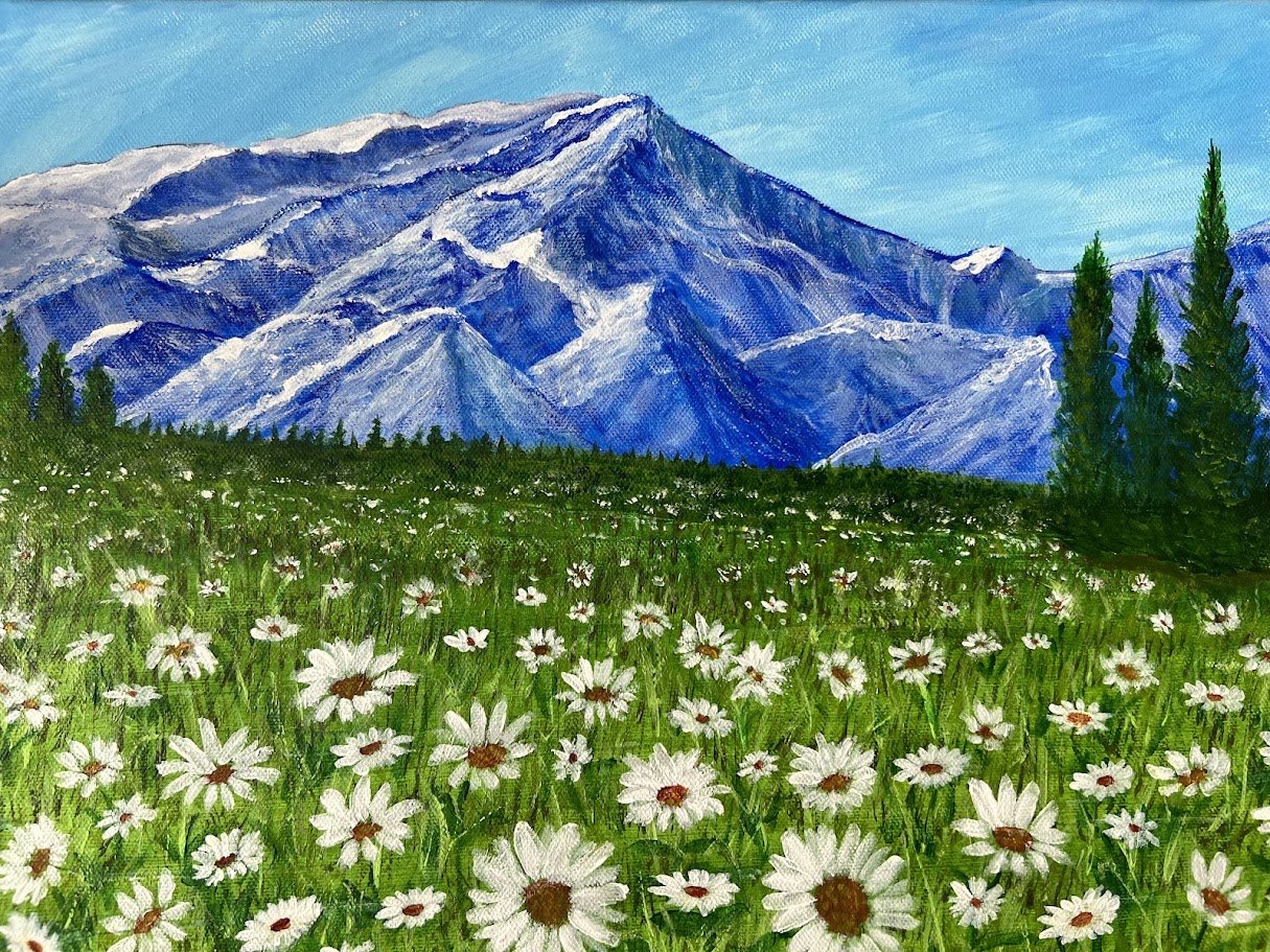 daisy field of flowers and mountains.jpg