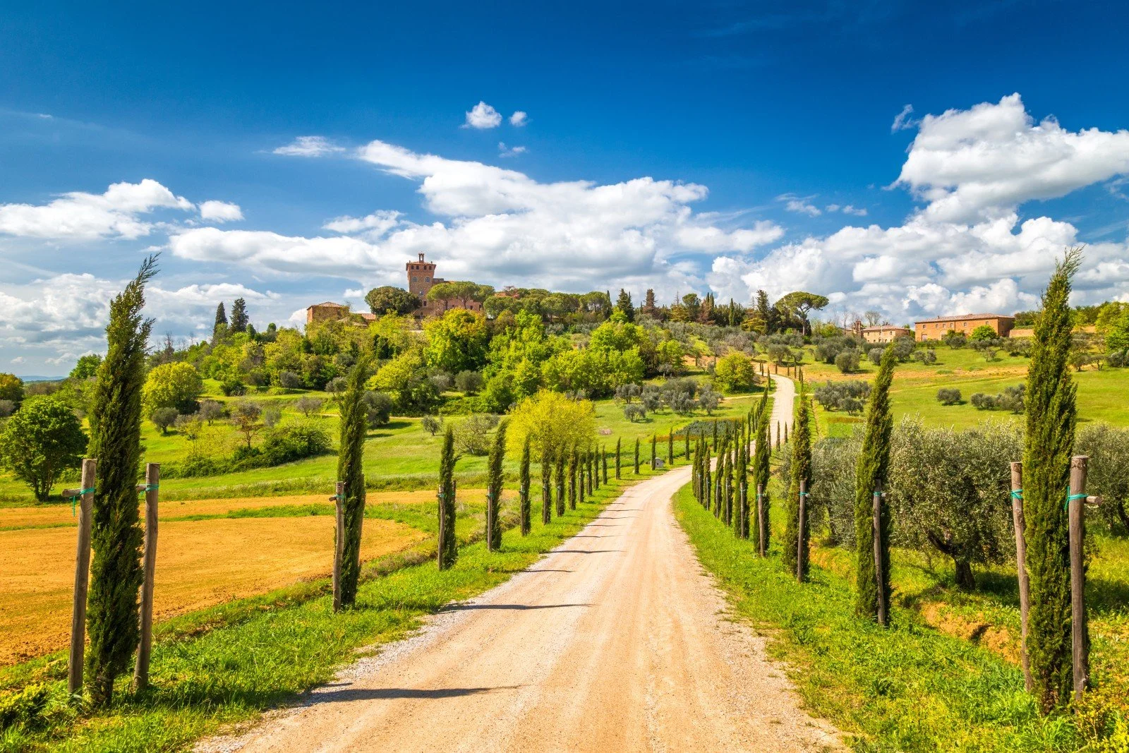 road leading up to pienza.jpg
