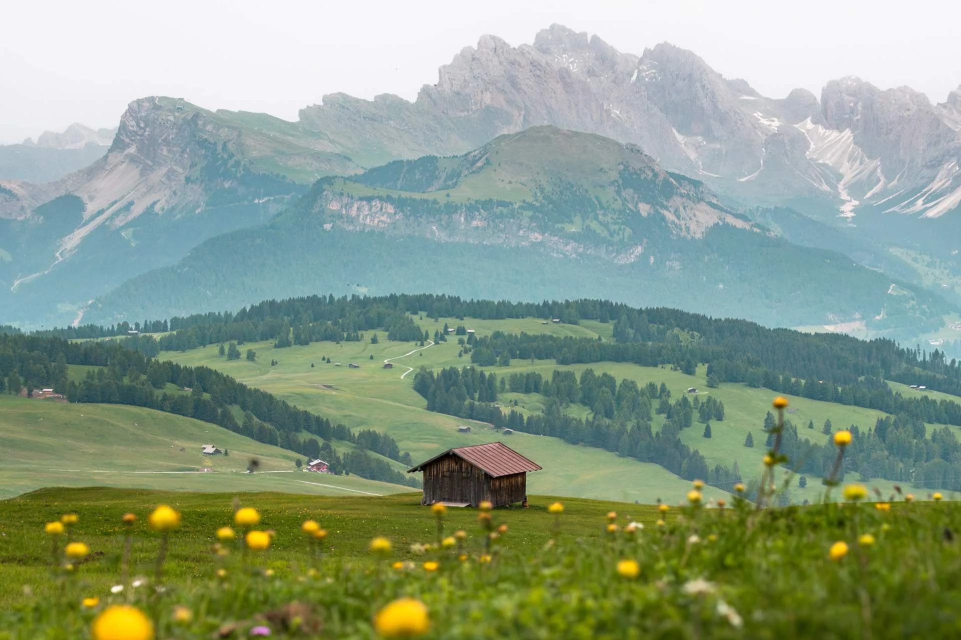 alpe-di-siusi-cover-PITL8086-Enhanced-NR.jpg