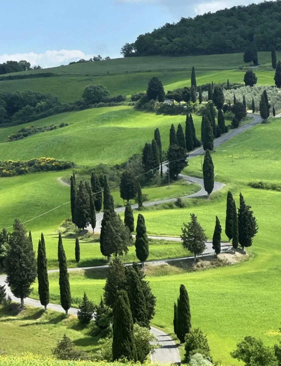 tuscany road.jpg
