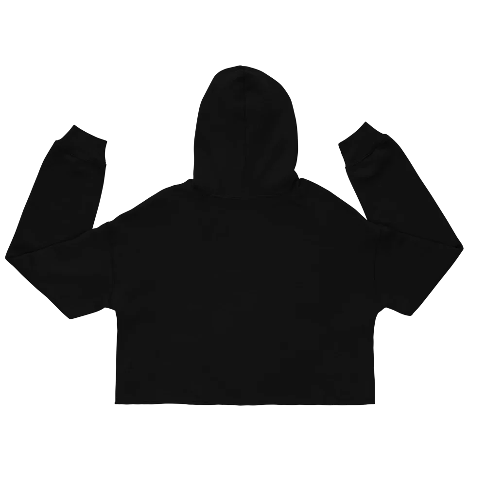 SOLAZ Sunset Hoodie in Black, back view; supplier digital mockup.
