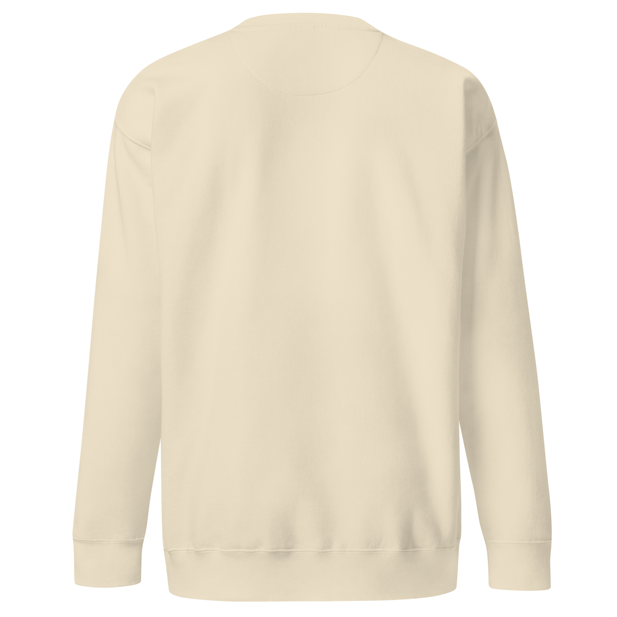 SOLAZ Leisure Crew in Bone, plain back view; supplier digital mockup.