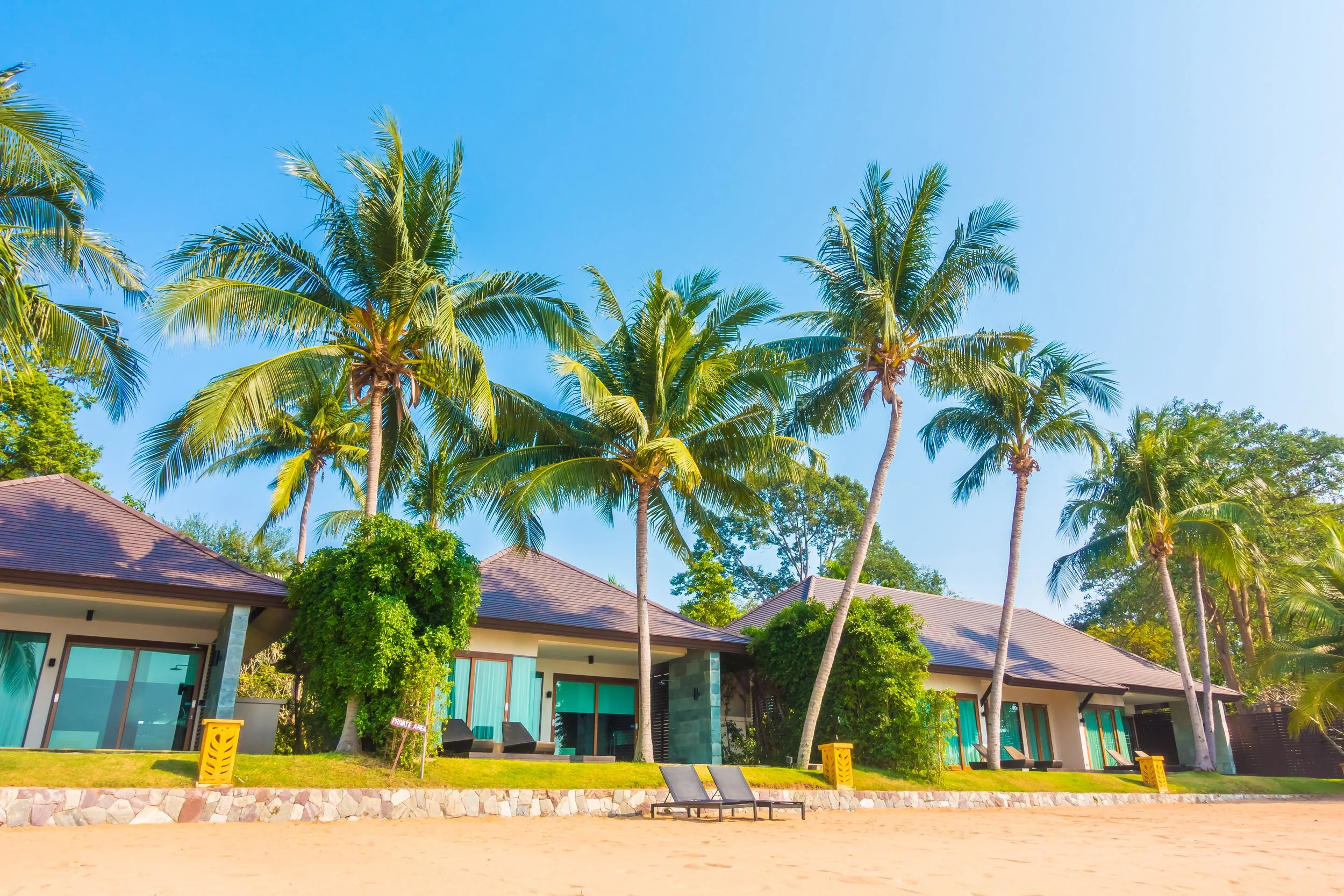 View of a beach with sand in the foreground, modern beach houses with large windows in the middle ground, and tall palm trees against a clear blue sky in the background.