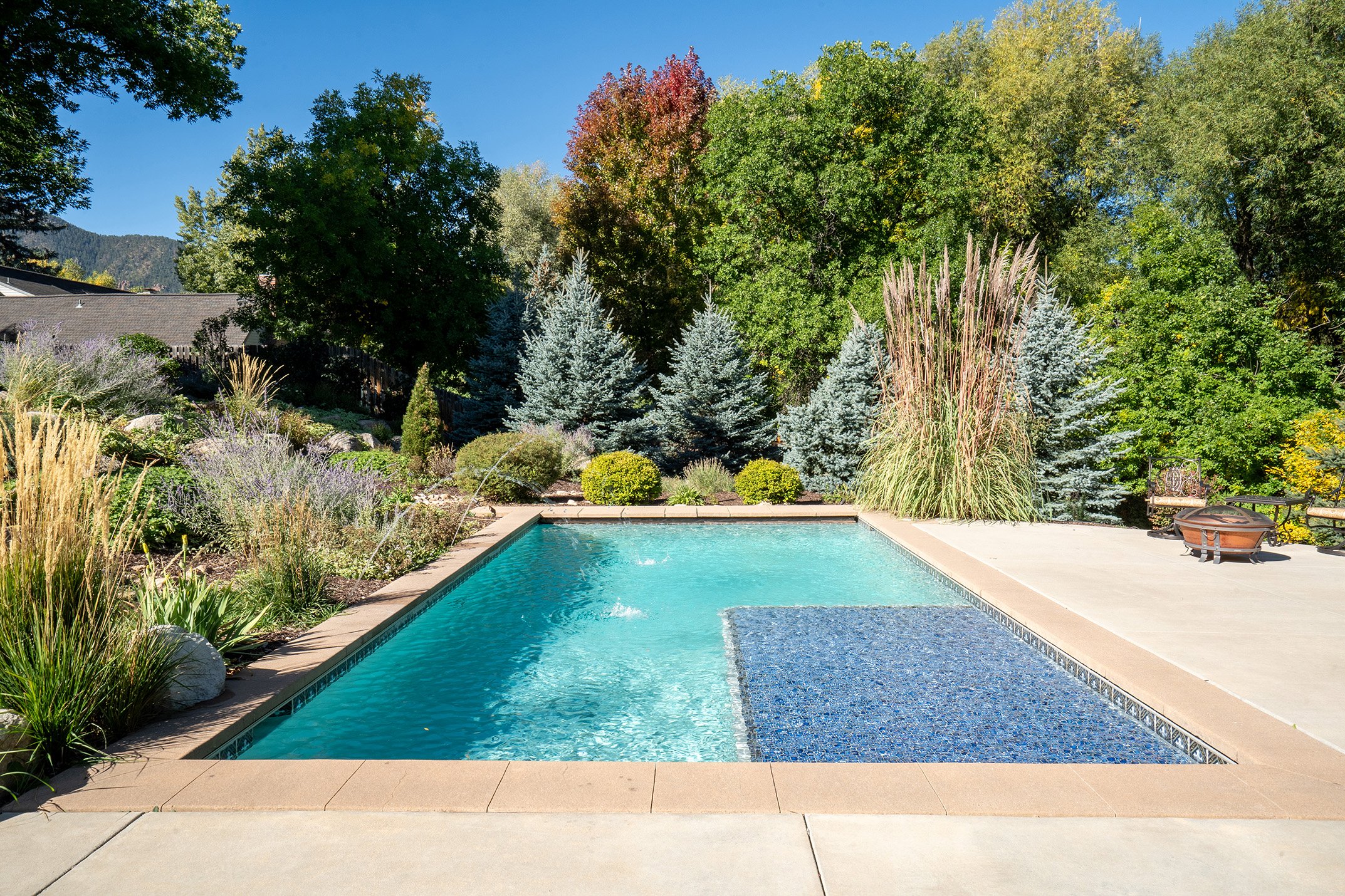 Backyard swimming pool surrounded by ornamental grasses, evergreen trees, landscaped gardens, and mountain views