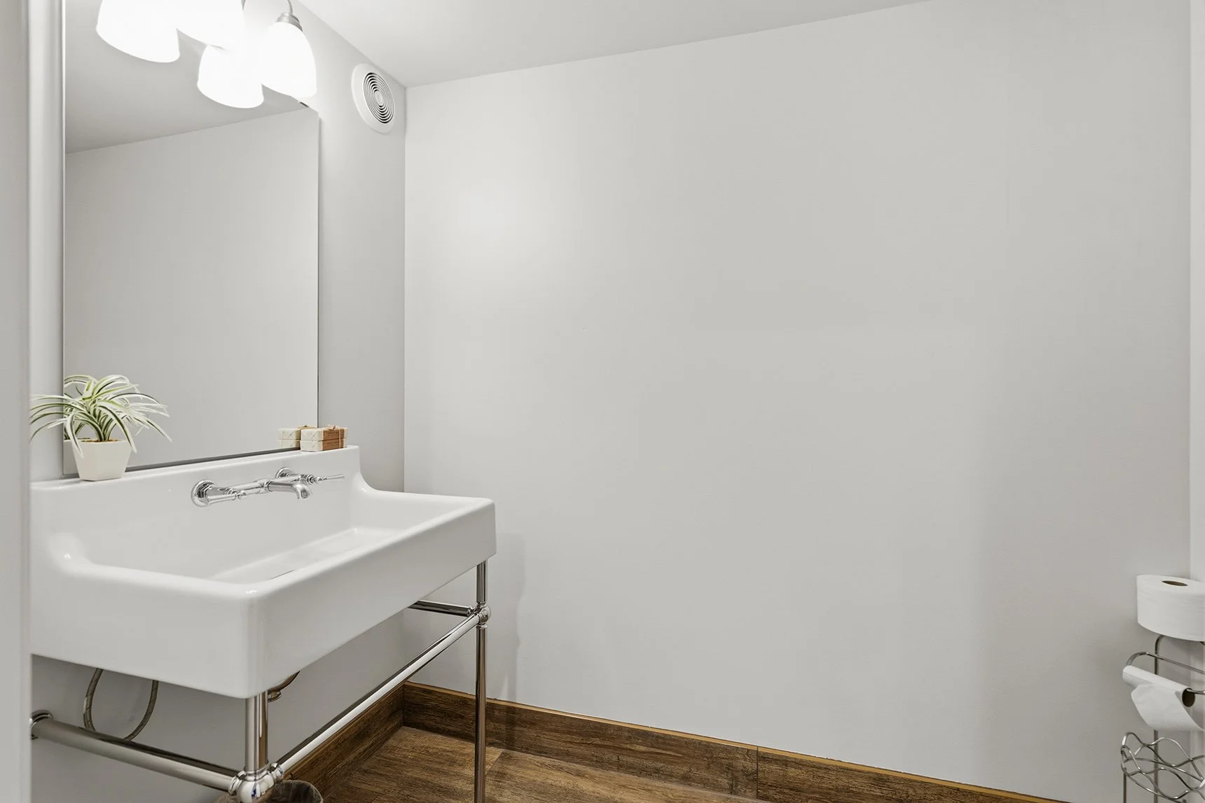 Bright white bathroom with a pedestal sink, wall mirror, potted plant, soap bars, toilet paper holder, and wood-look flooring.