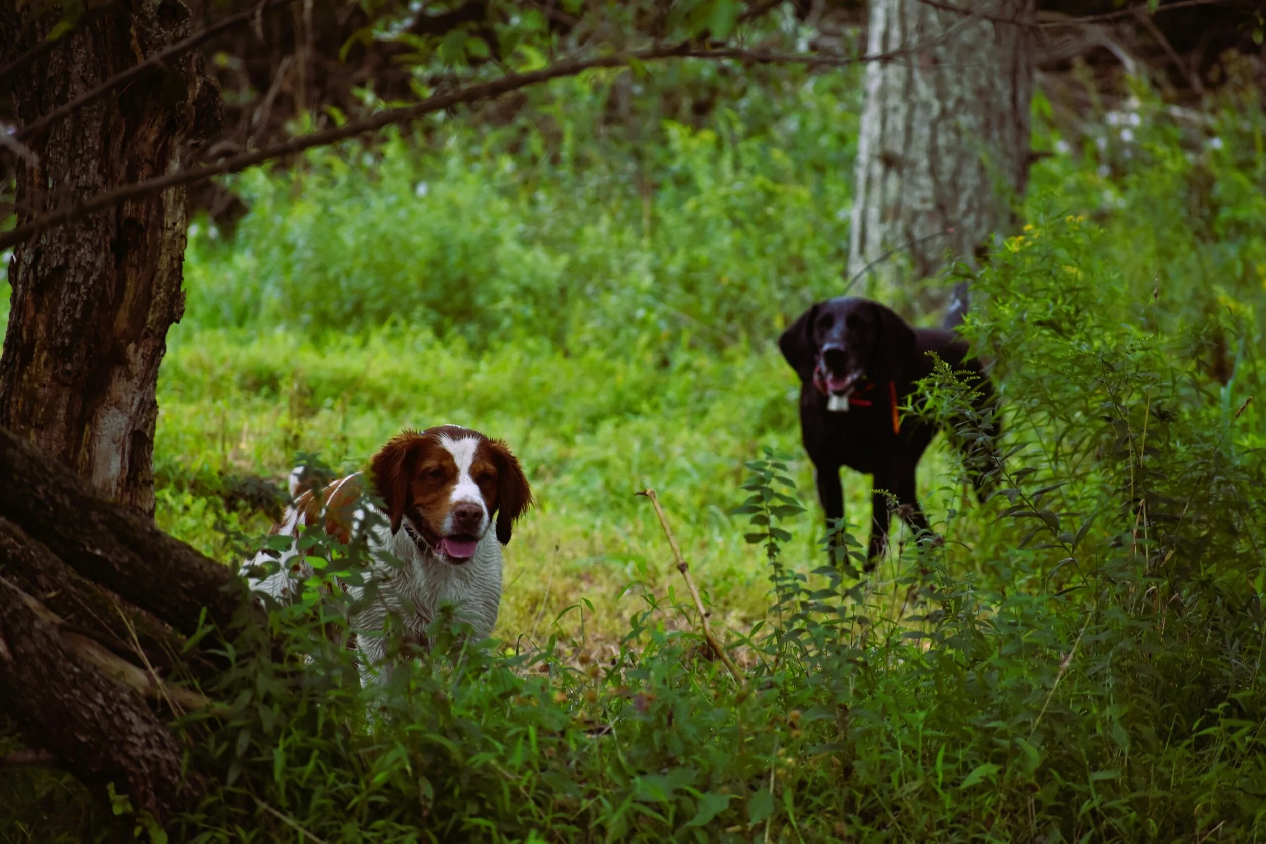 Mock-Hunt-2026-11-scaled.jpg