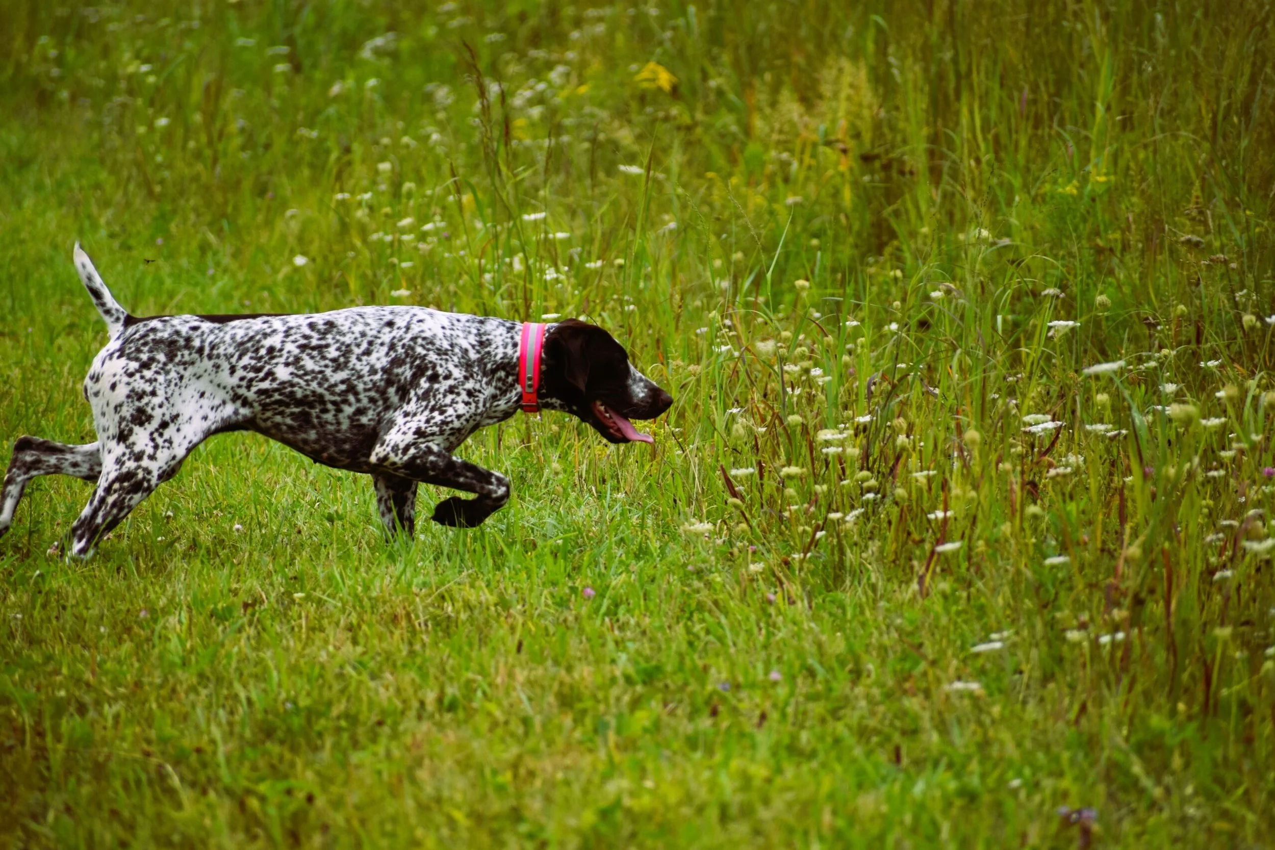 Mock-Hunt-2026-8-scaled.jpg