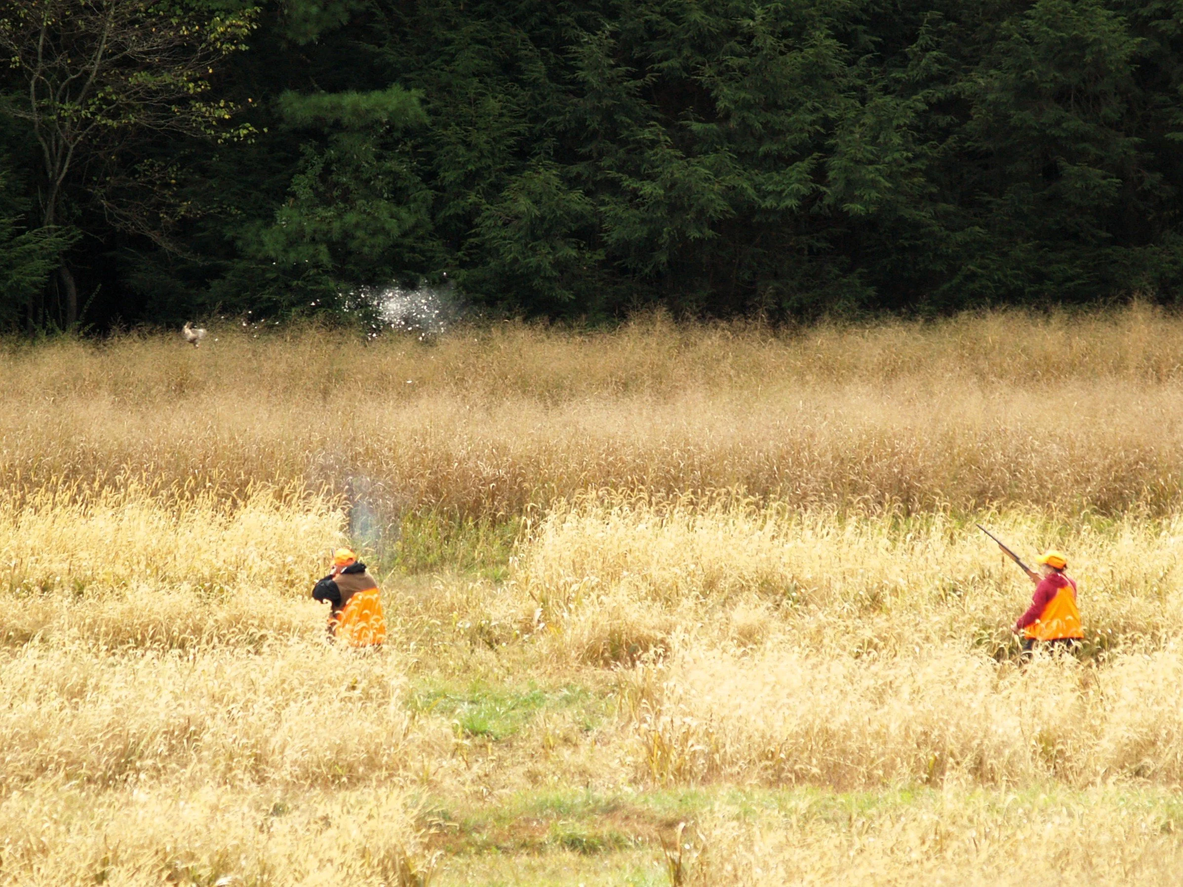 Fall-Hunt-Test-2025-4.jpg