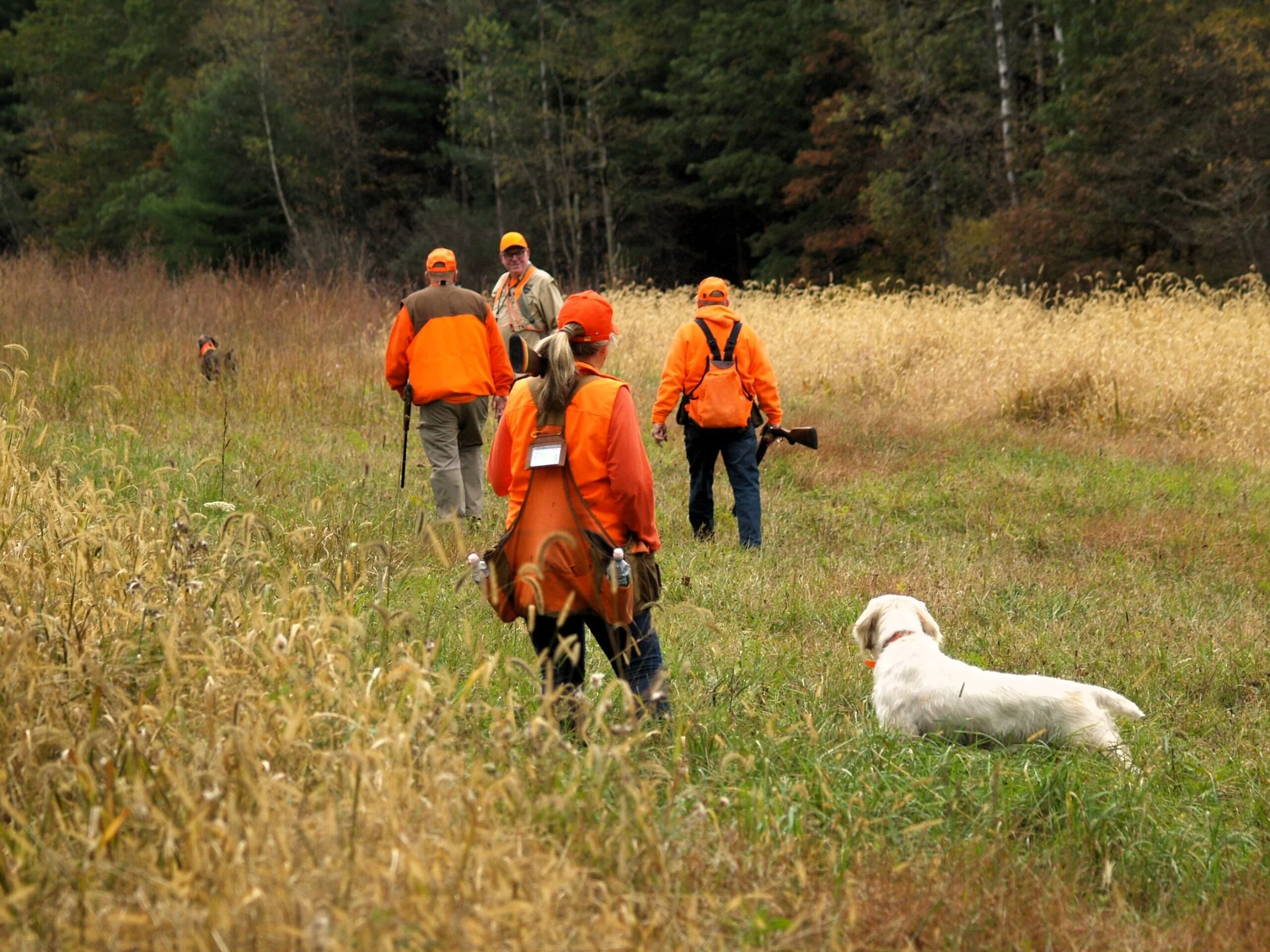 Fall-Hunt-Test-2025-13-scaled.jpg