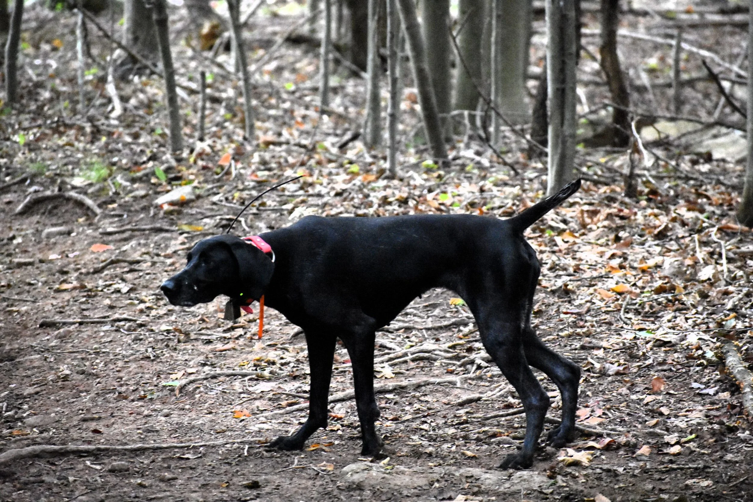 Mock-Hunt-2026-5-scaled.jpg