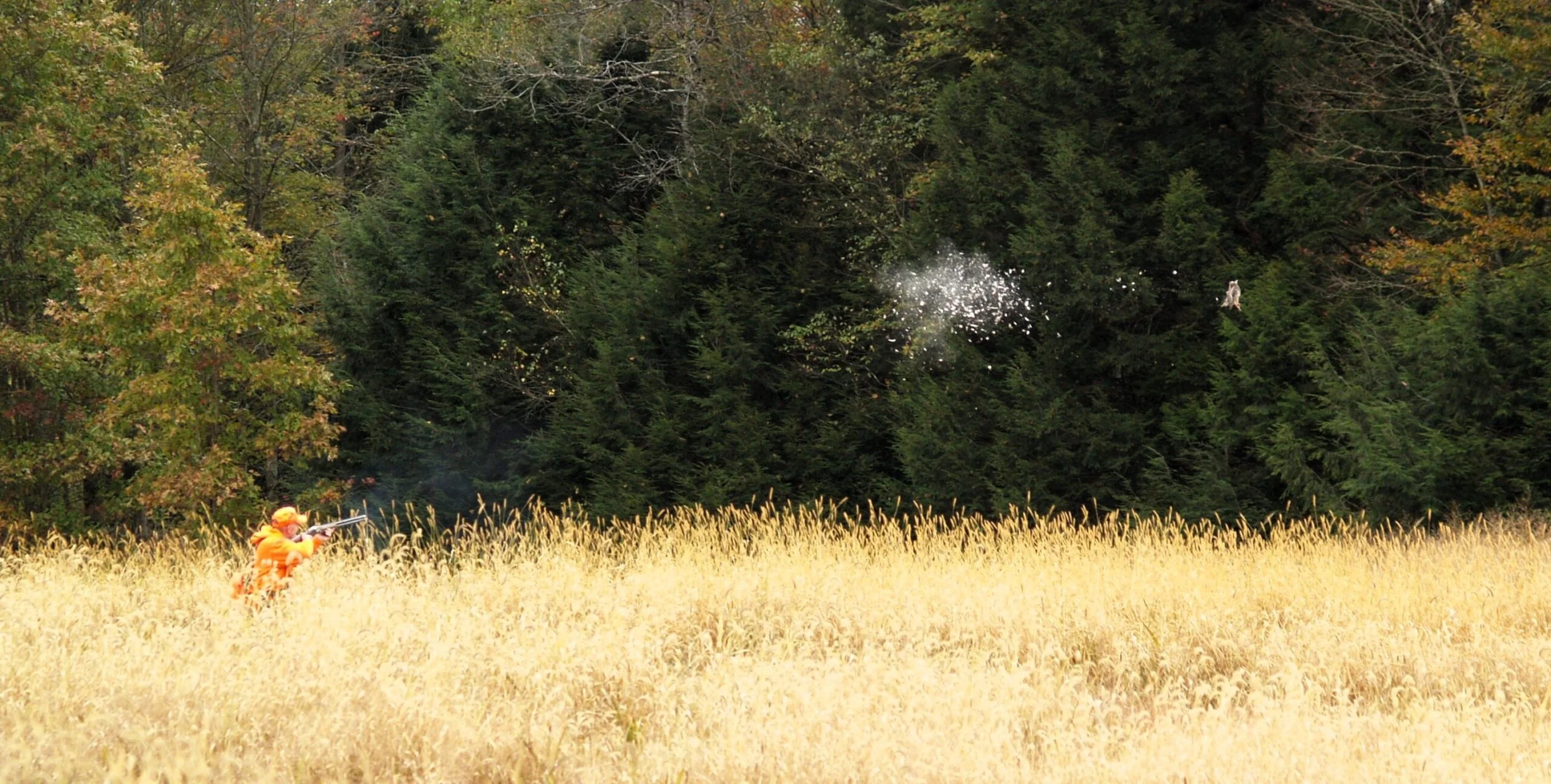 Fall-Hunt-Test-2025-16-scaled.jpg