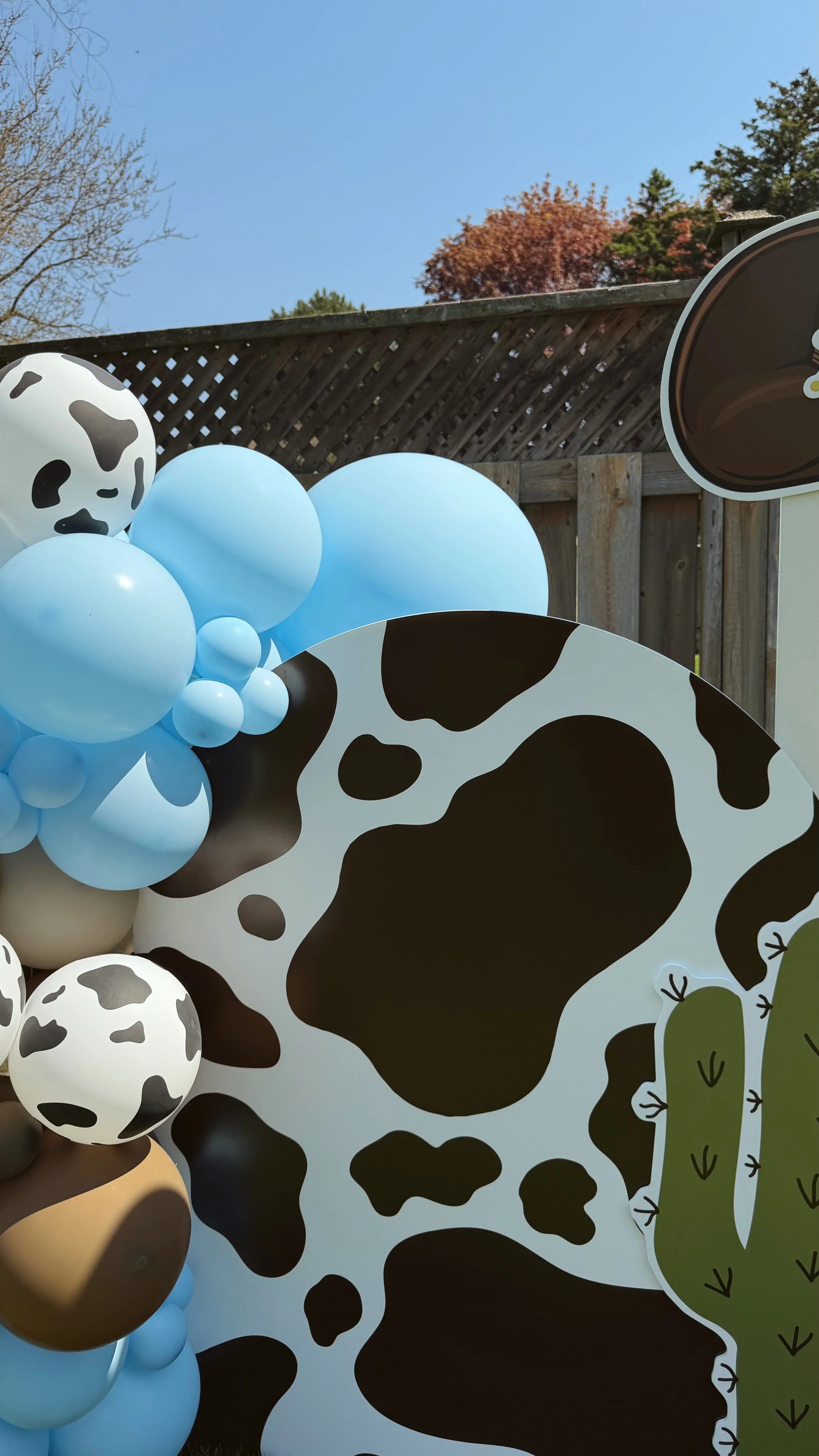 Decorative display with cow print patterns, blue balloons, a cow-themed sign, and a cartoon cactus against a backyard fence and clear sky.