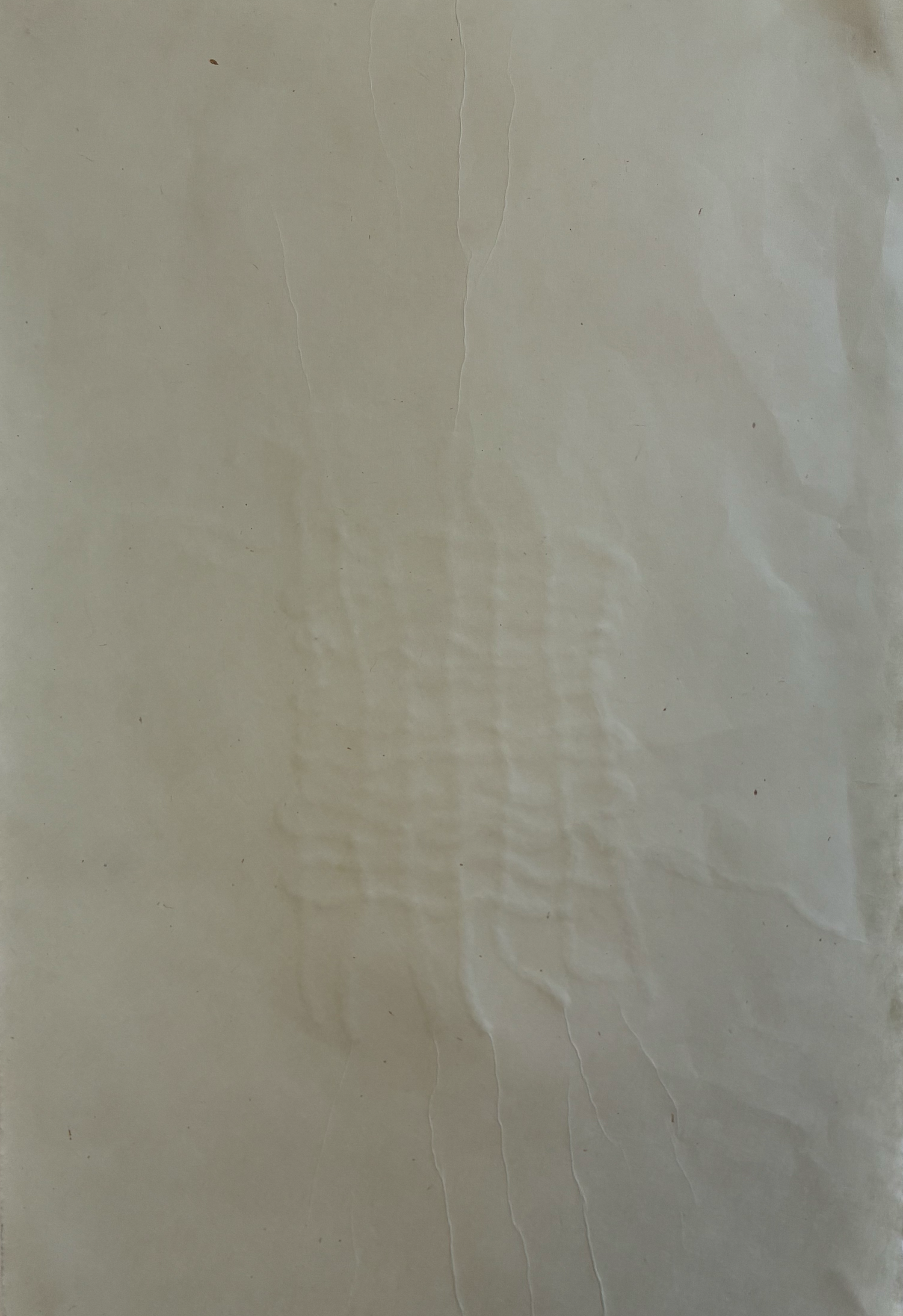 Left, 11 x 22, kitakata paper, 2026