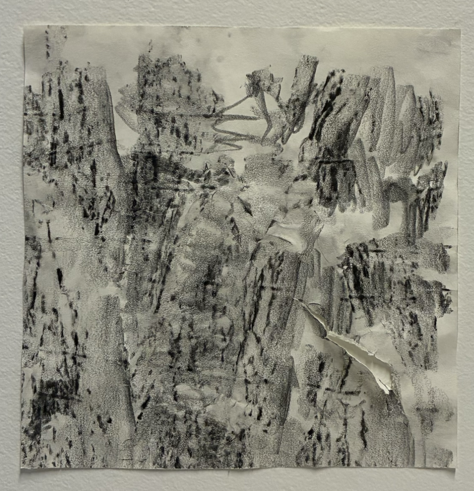 Texture Rubbings