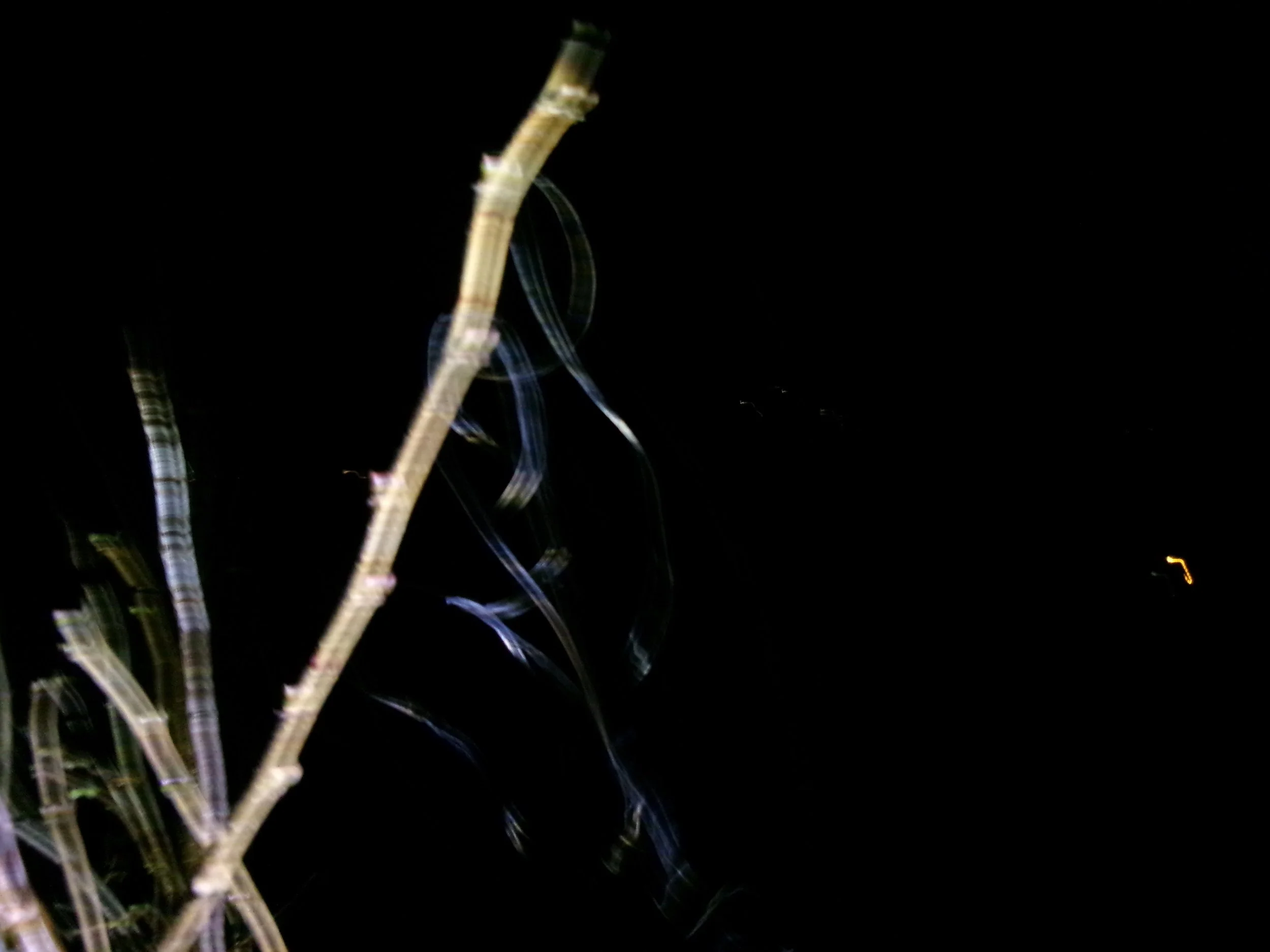 100_0852.JPG