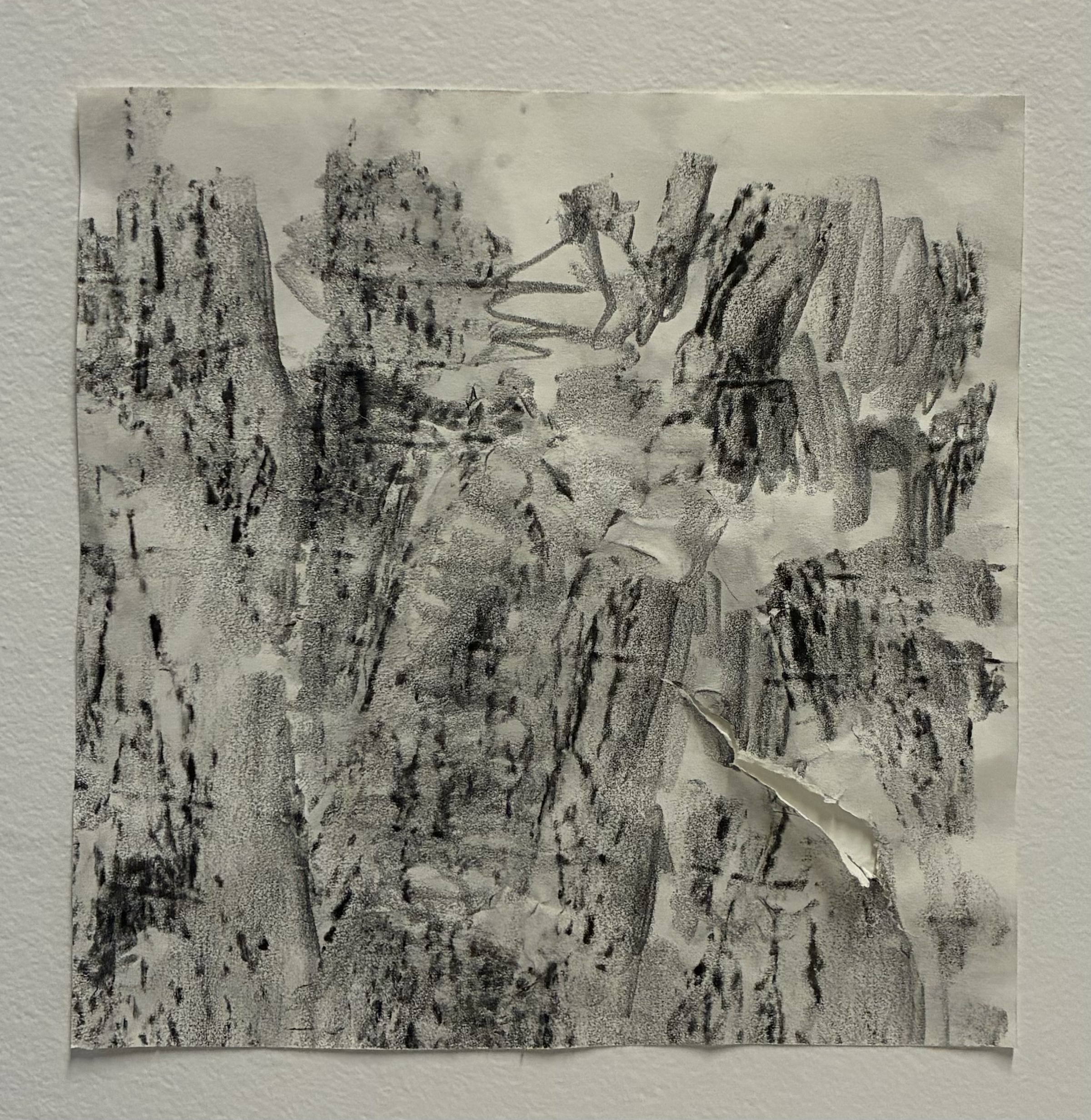 Rubbing of Tree During Performance, graphite, 8 x 8 in, 2026
