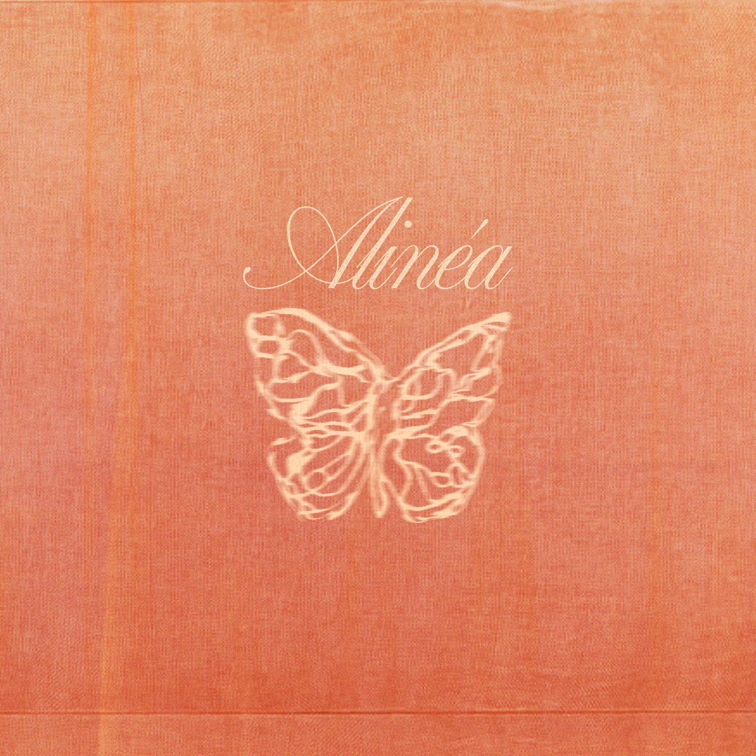 Alinéa (acoustique)