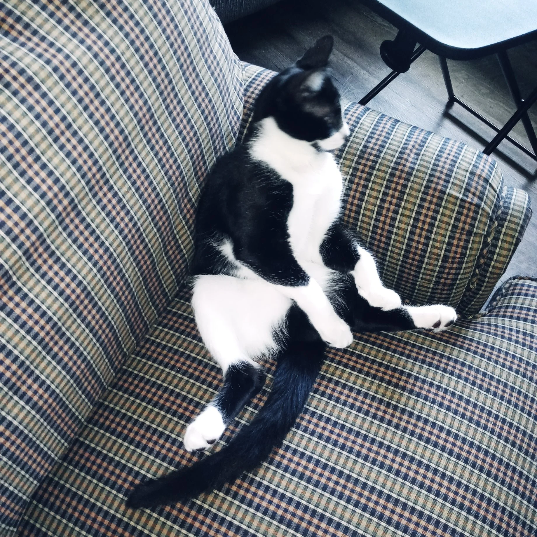 20200919_153306.jpg