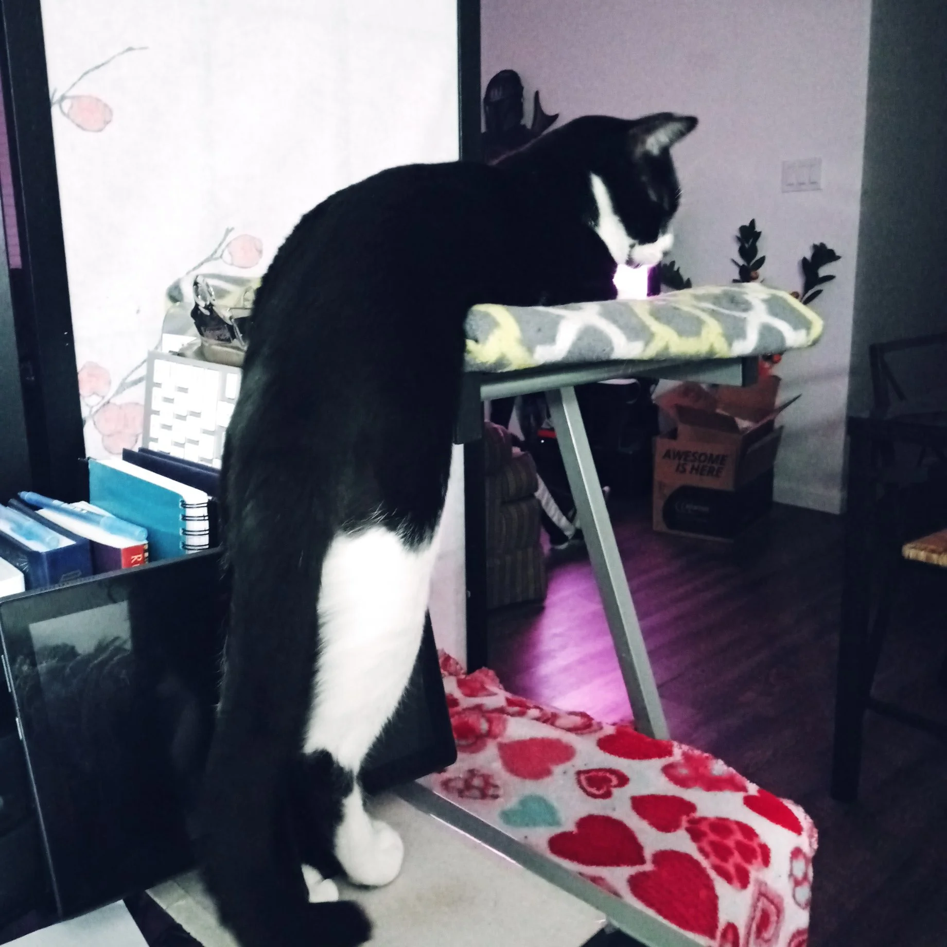 20201230_223245.jpg