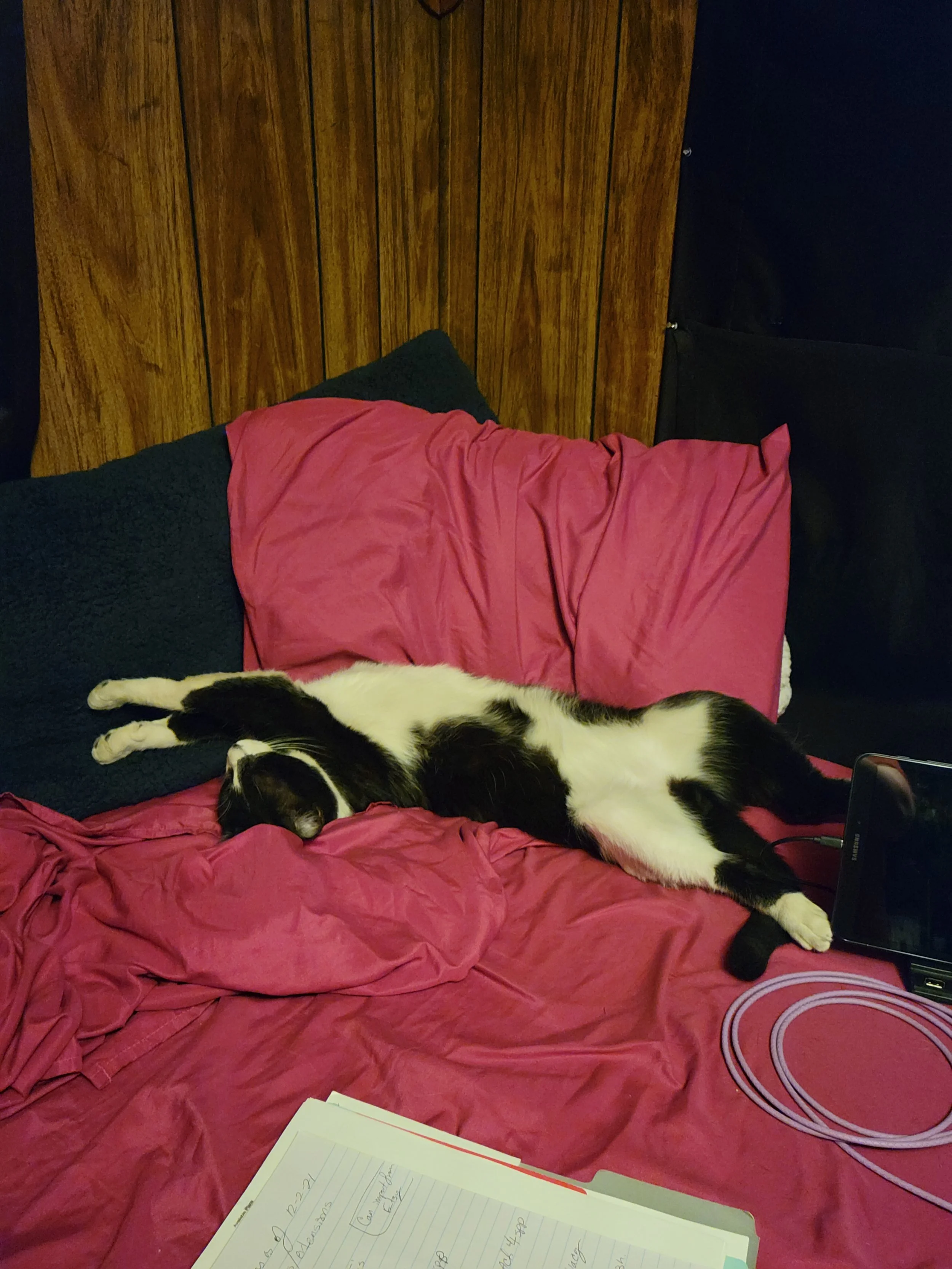 20211202_164909.jpg