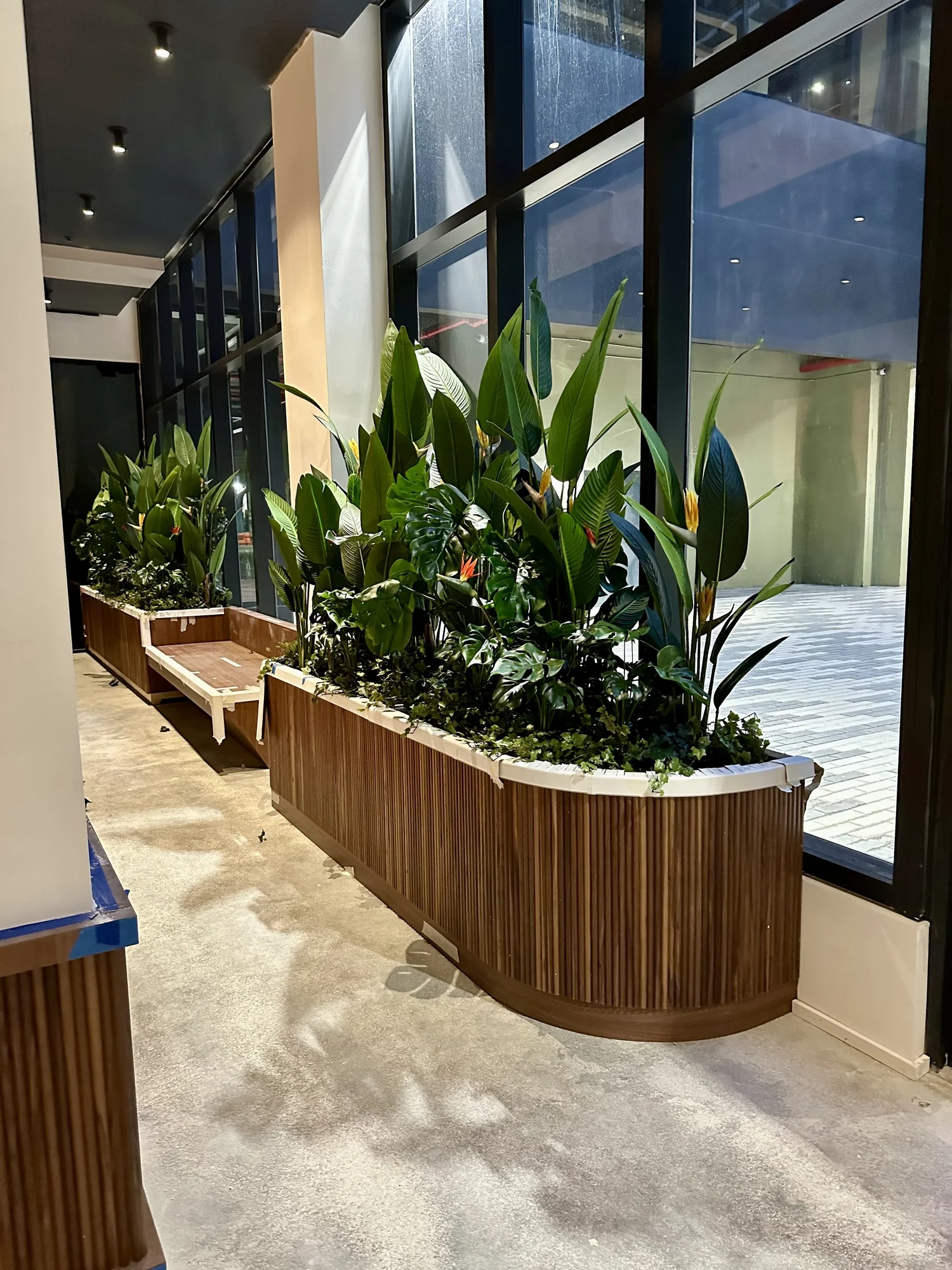 Custom wood planter with bird of paradise