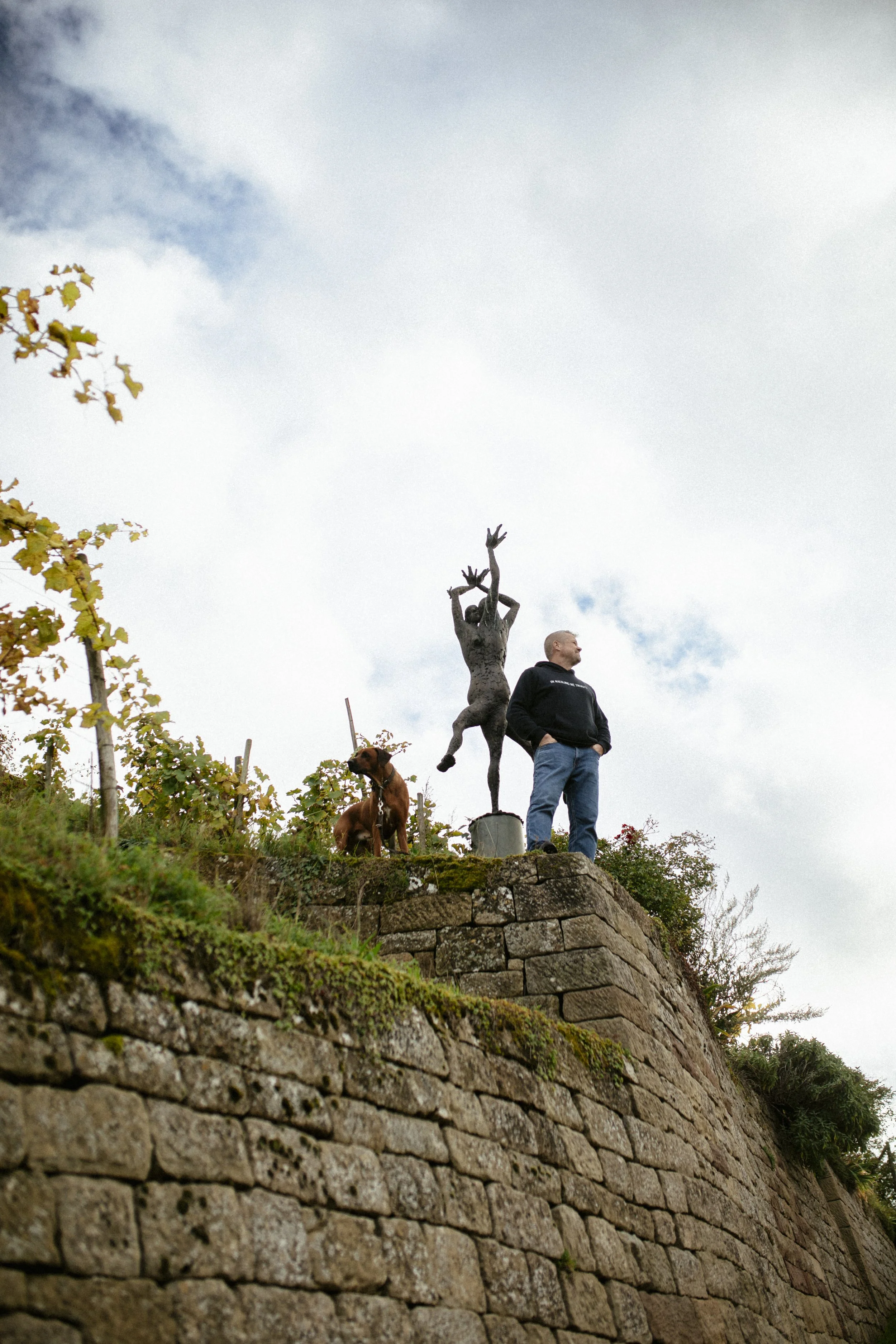 Trockenmauer im Museumsweinberg „Rettet die Reben“ unterhalb der Y-Burg