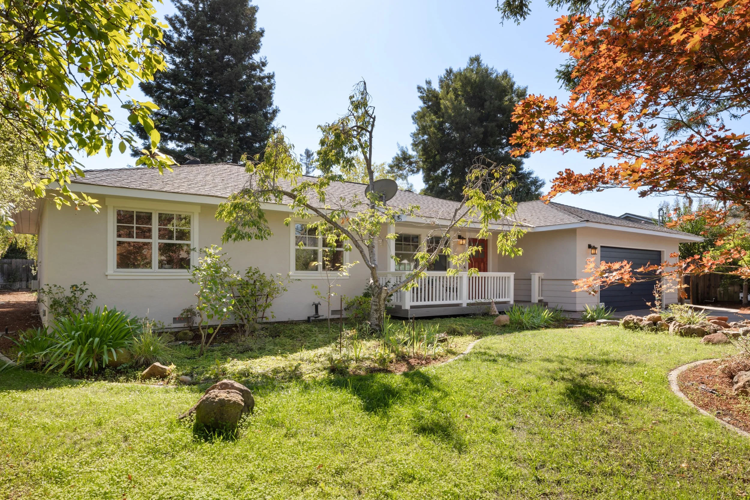3-Panchita_Matt_Anello-03-MLS.jpg