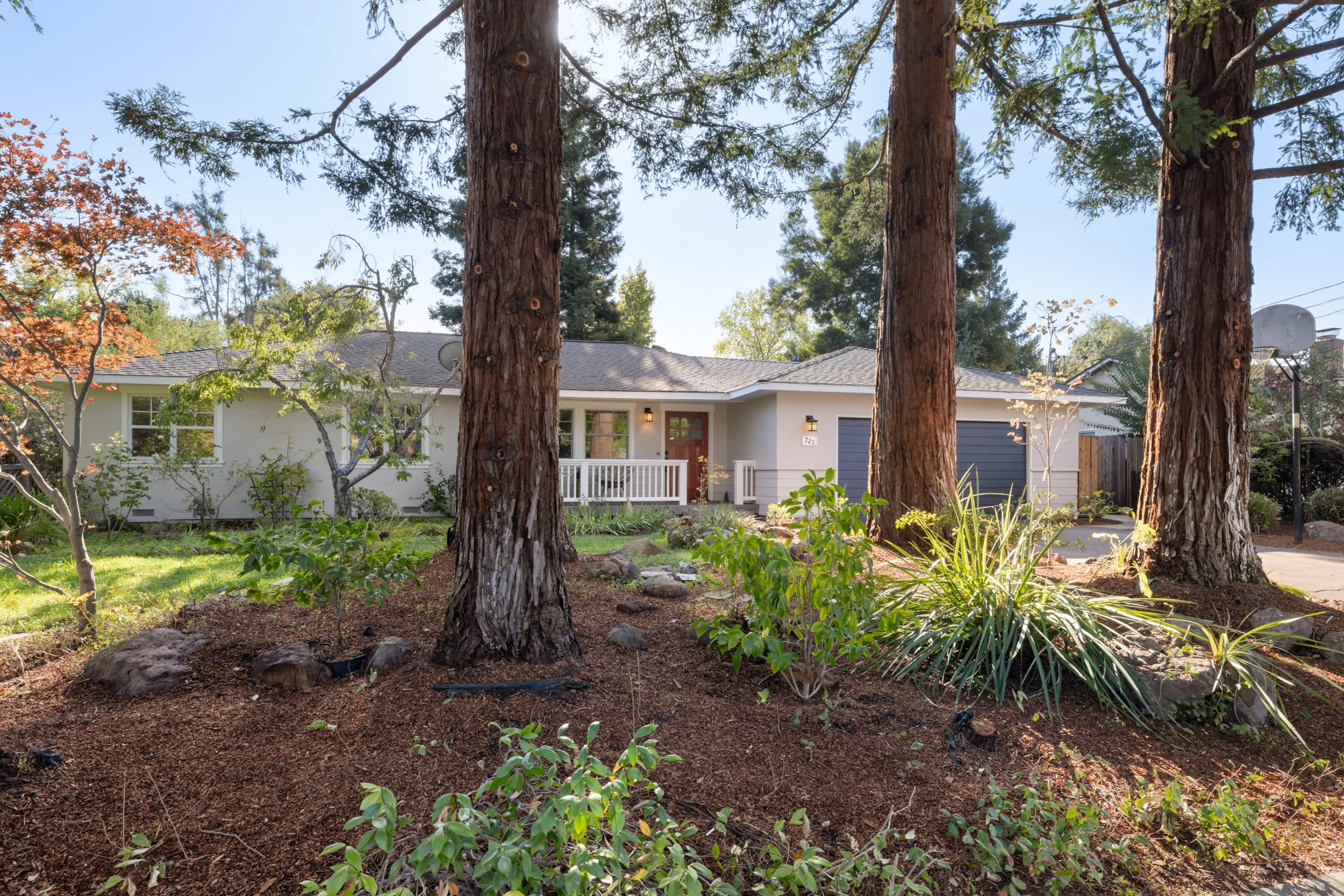 2-Panchita_Matt_Anello-02-MLS.jpg