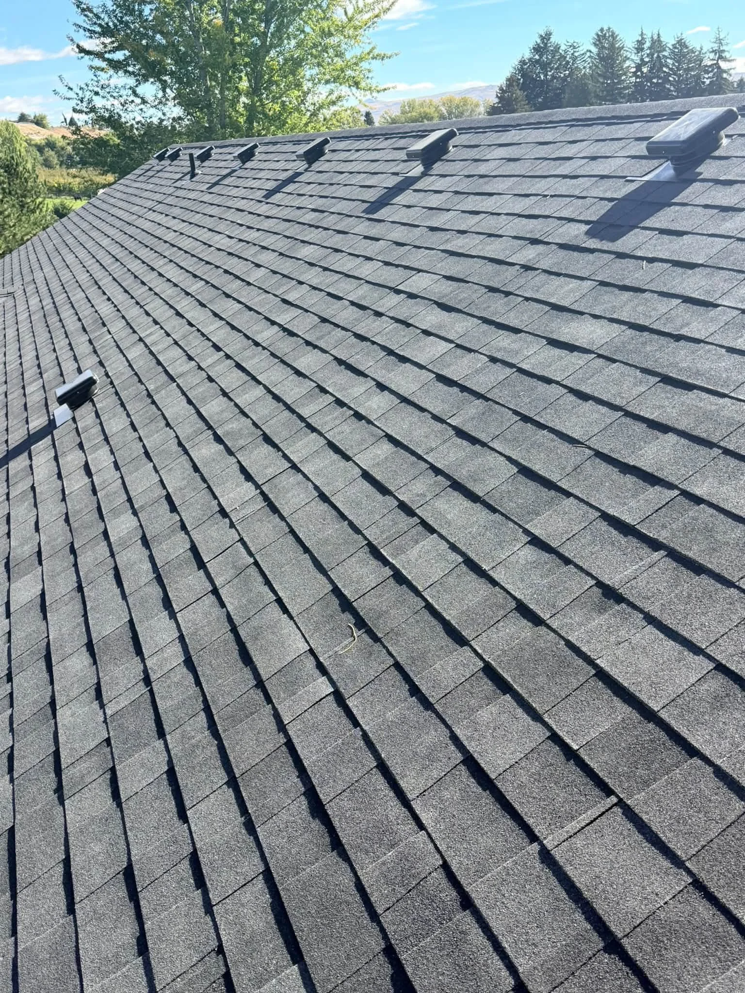 A photograph of a house roof covered with gray asphalt shingles. There are four black roof vents evenly spaced along the top, with shadows cast by the vents visible on the shingles. The background features green trees, distant hills, blue sky, and some clouds.