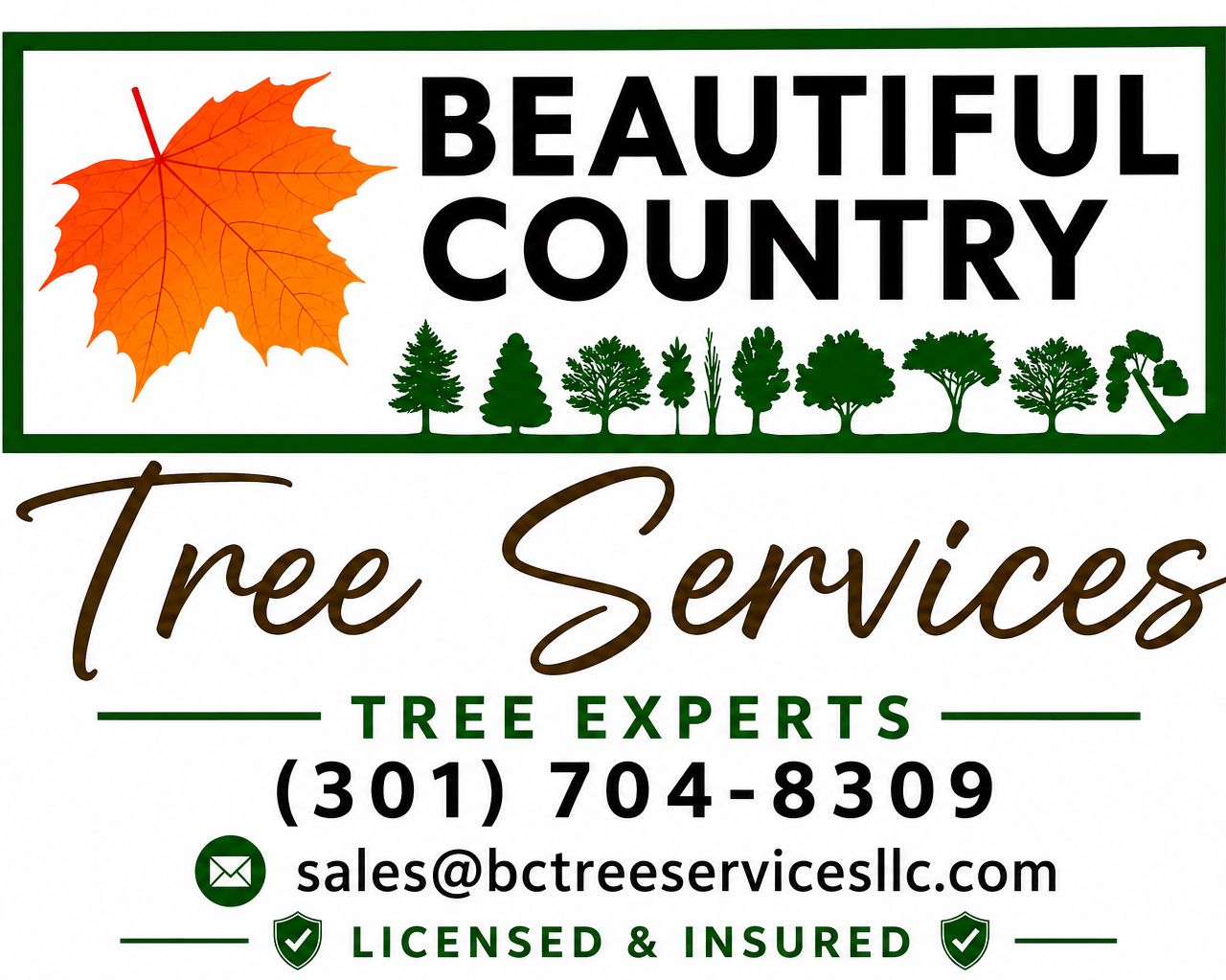 Business card for Tree Services, a tree removal company. Features a large orange maple leaf in the top left corner, with the words 'Beautiful Country' in bold black font. Beneath that, in cursive brown font, are the words 'Tree Services.' Below that, in green capital letters, is 'Tree Experts.' Contact information includes a phone number '(301) 704-8309,' and email 'sales@bctreeservicesllc.com.' A row of green tree silhouettes is at the bottom, along with icons indicating licensed and insured services.