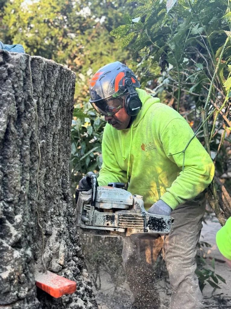 A worker in a neon yellow hoodie and safety gear cuts a large tree trunk with a chainsaw in an outdoor setting surrounded by greenery.