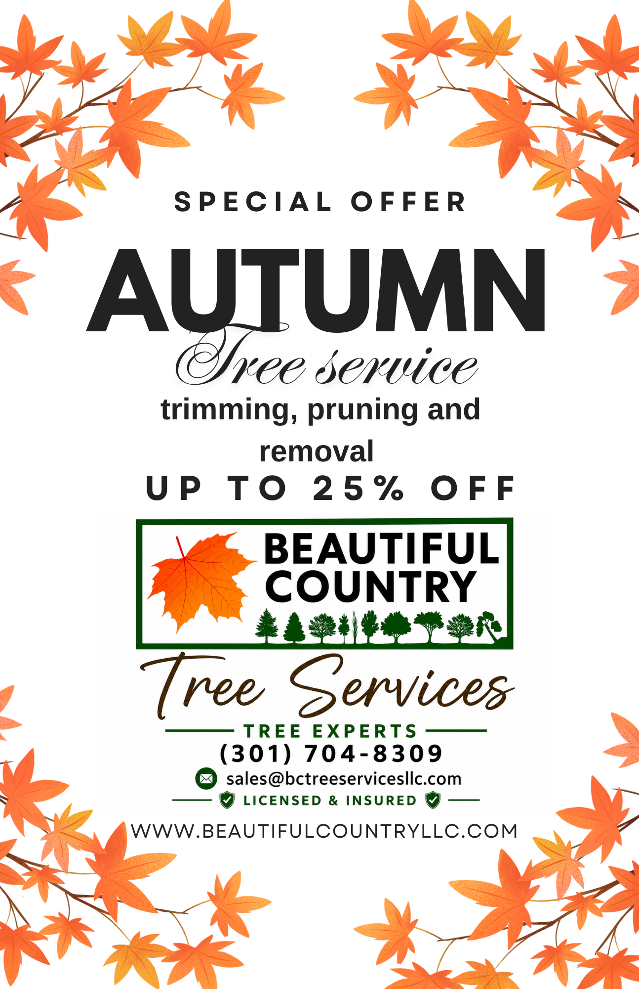 Flyer for autumn tree trimming, pruning, and removal services with autumn leaves and trees, highlighting a special offer of up to 25% off, and contact information for Beautiful Country Tree Services.