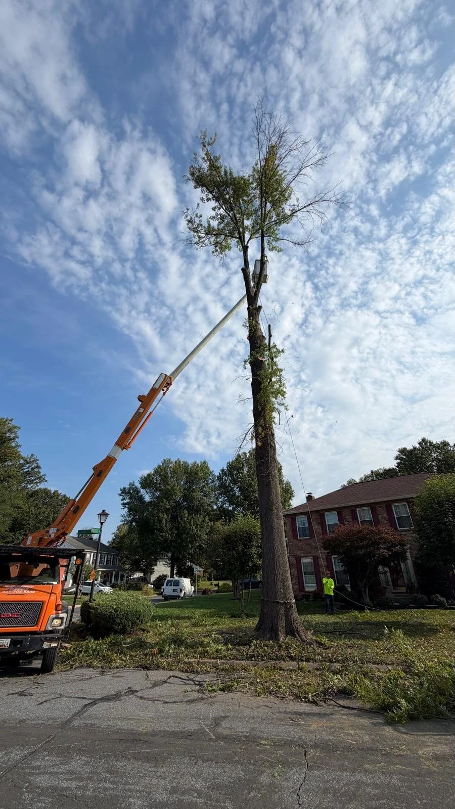 Tree trimming in progress using a bucket truck with a boom lift, with workers visible on the ground near a residential house.