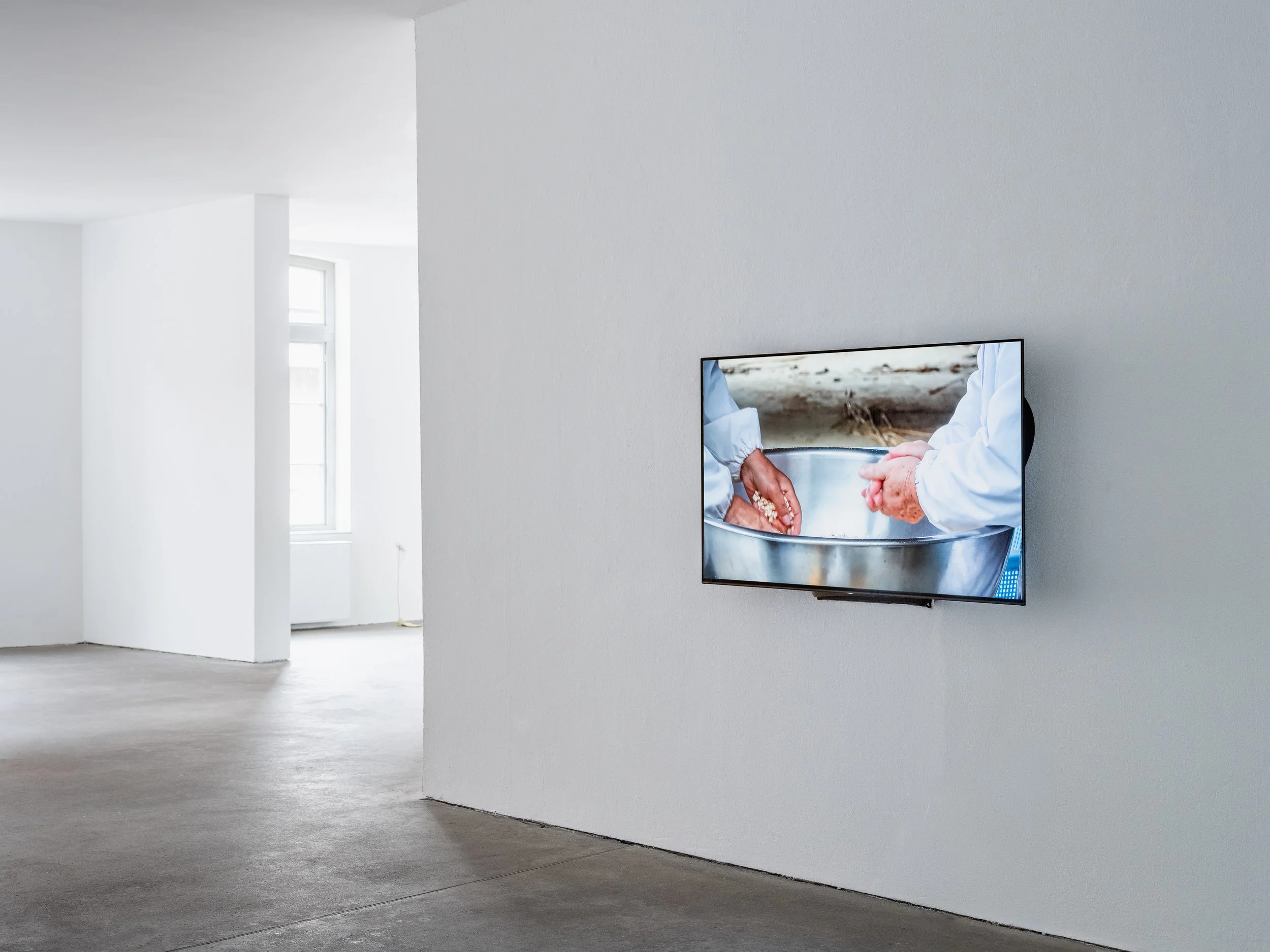 Kunstverein Grafschaft Bentheim