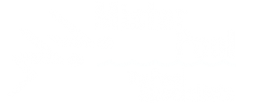 Mister Pool
